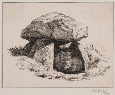 Lammene