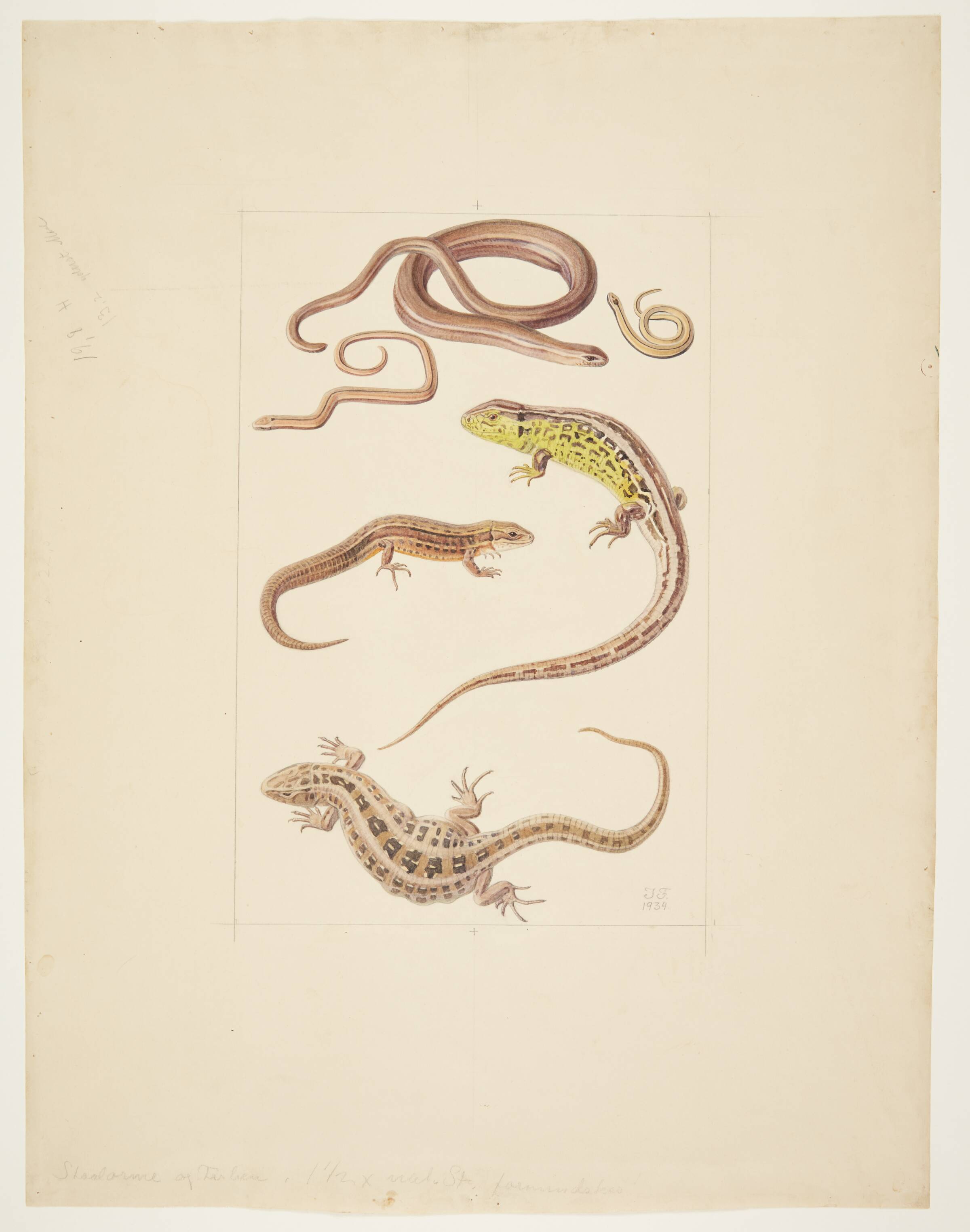 Planche med stålorme og firben, Ingeborg Frederiksen, 1934