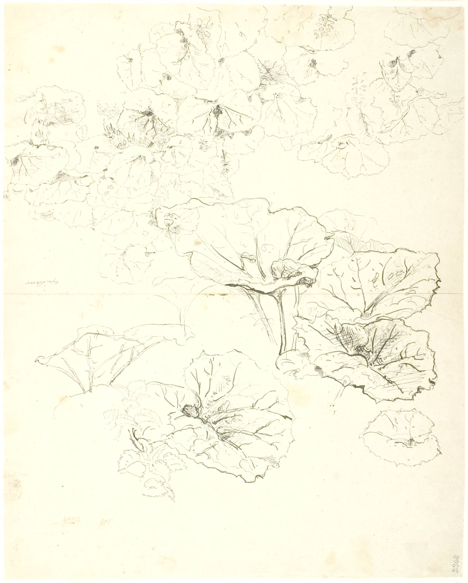 Bladstudier, Dankvart Dreyer, 1840-1849