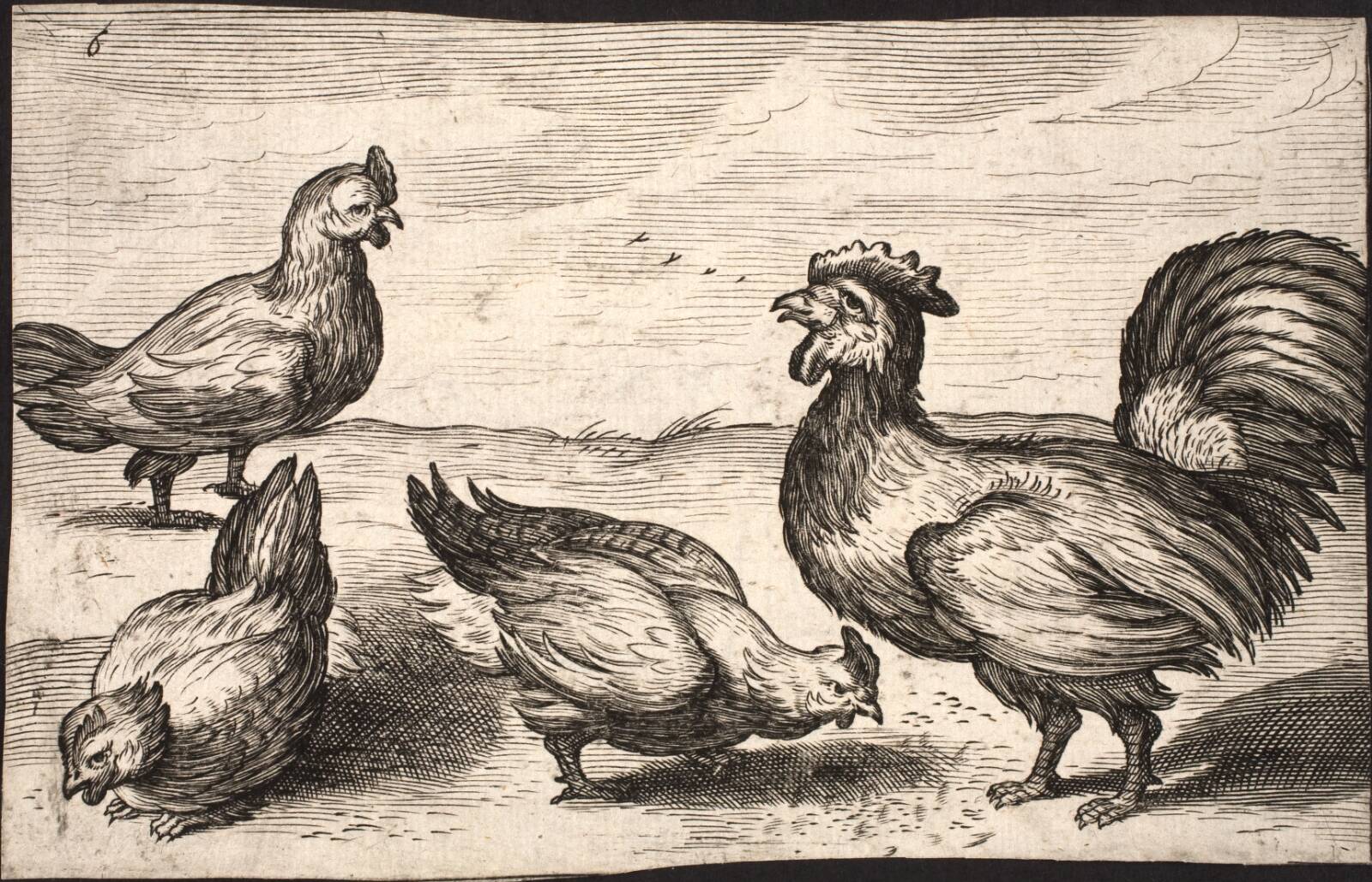 Hane med tre høns, Ubekendt, 1608-1625