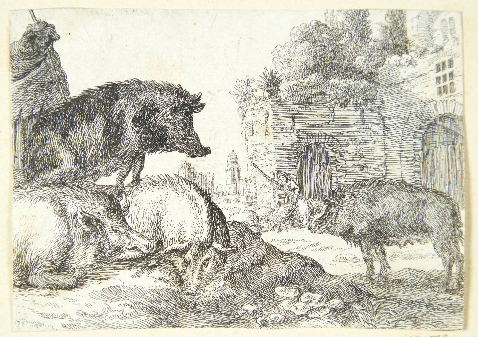 Svin, Herman van Swanevelt, 1603-1655