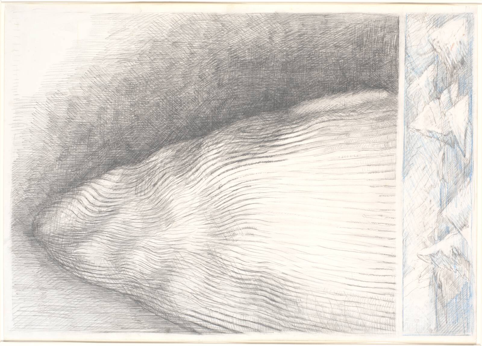"Undersiden af en hval", Inge Lise Westman, 1981-1983