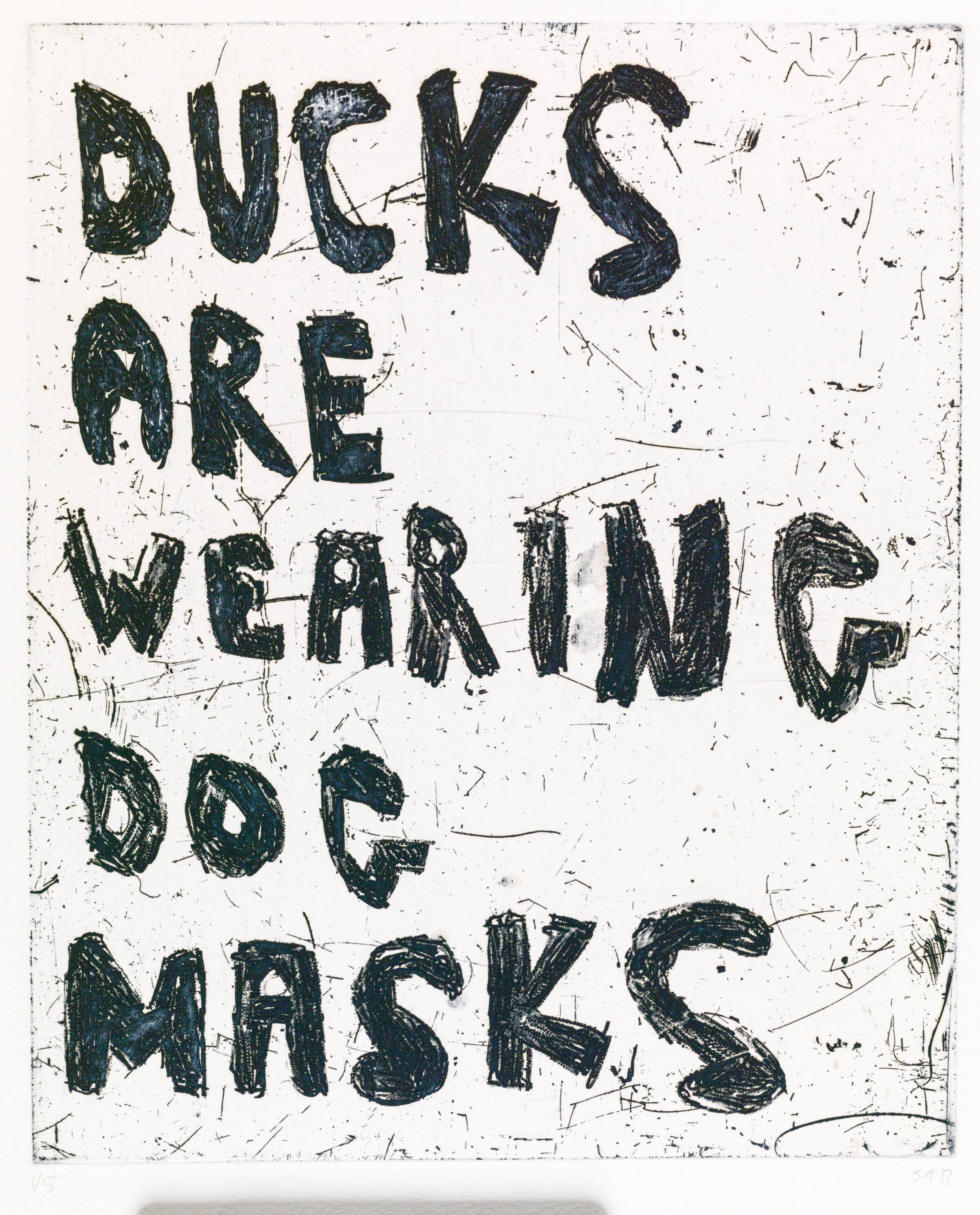 DUCKS ARE WEARING DOG MASKS, Svend-Allan Sørensen, 2012