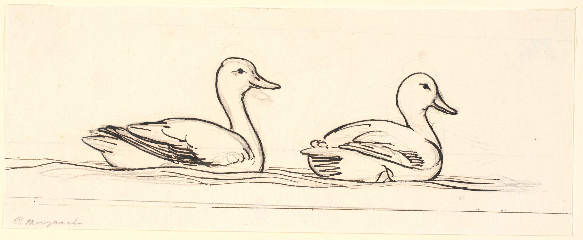To ænder. Dekorativt udkast., P.C. Skovgaard, 1817-1875