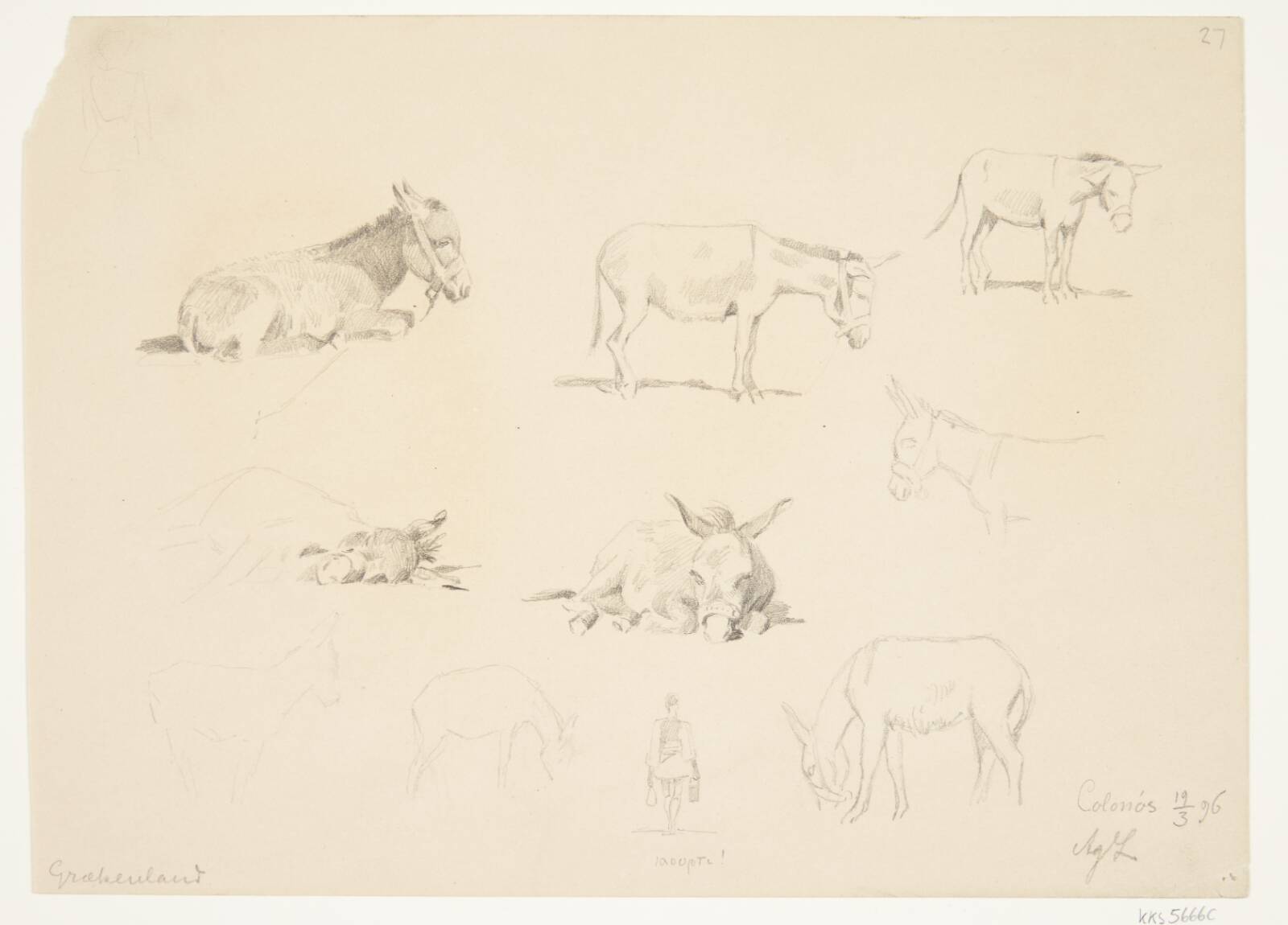 Studieblad med dyr., Agnes Lunn, 1896