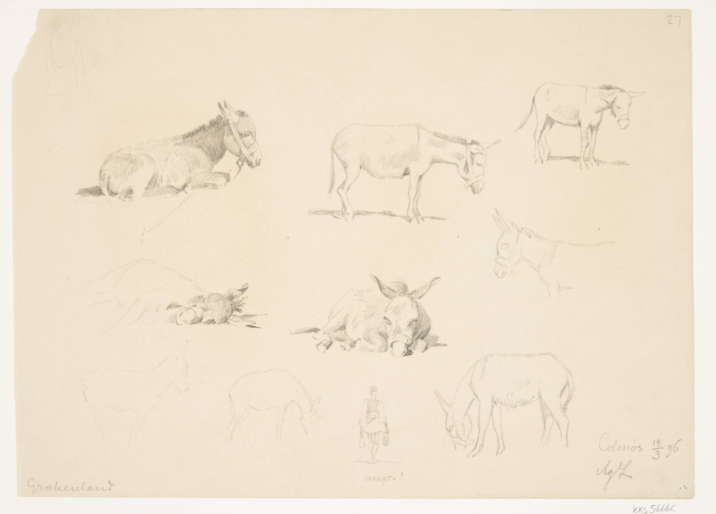 Studieblad med dyr., Agnes Lunn, 1896