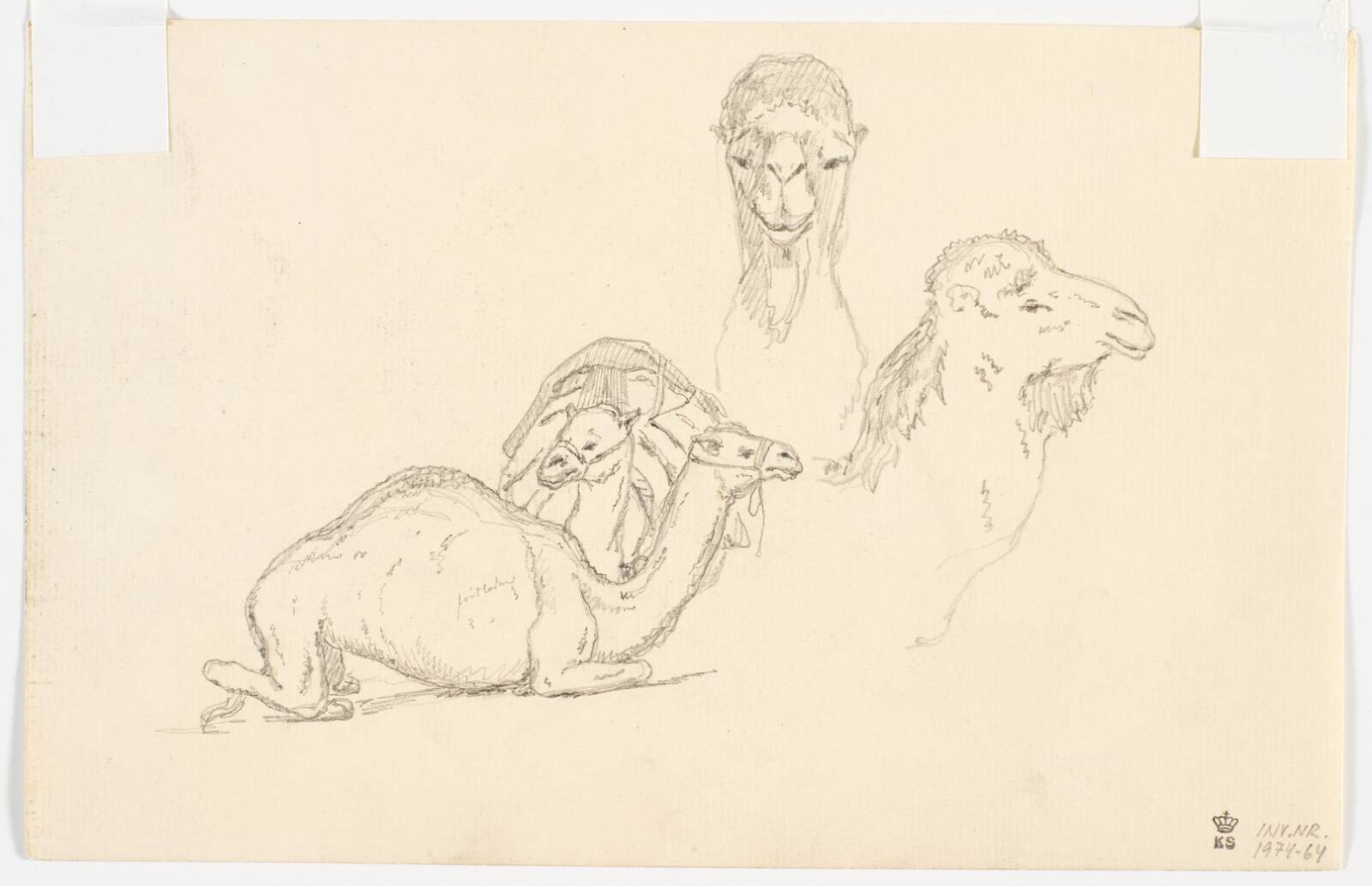 Studier af dromedarer, Martinus Rørbye, 1835