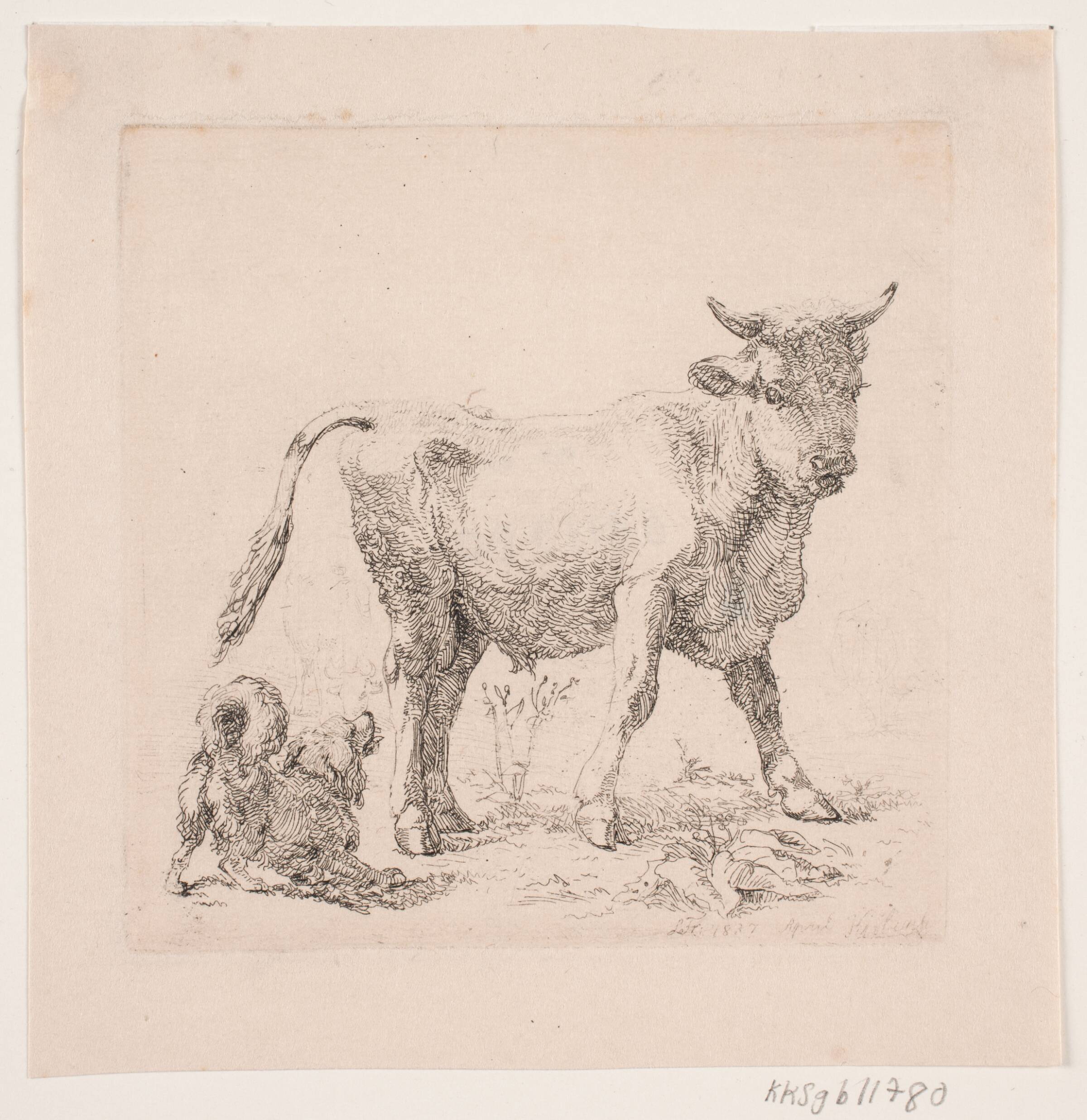 En tyrekalv og en gøende hund, Lorenz Frølich, 1837