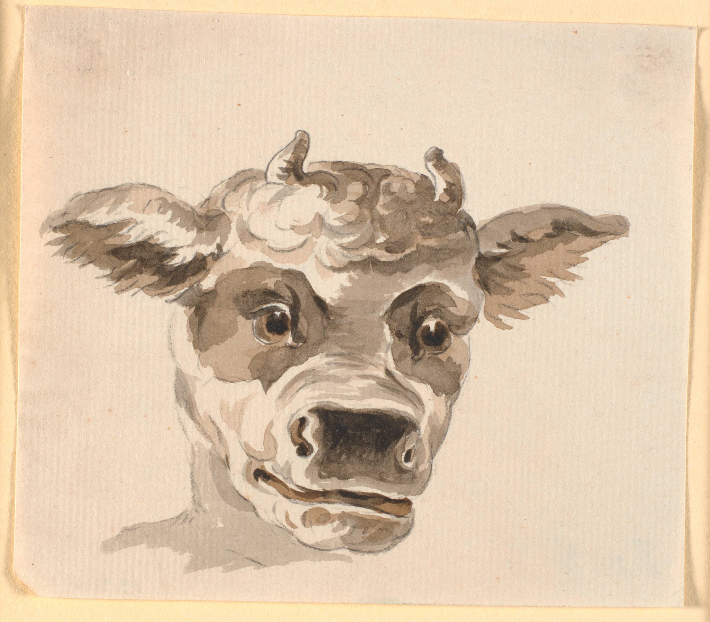 Minotauros' hoved, Nicolai Abildgaard, 1743-1809