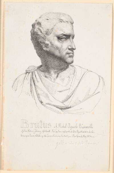 Brutushoved