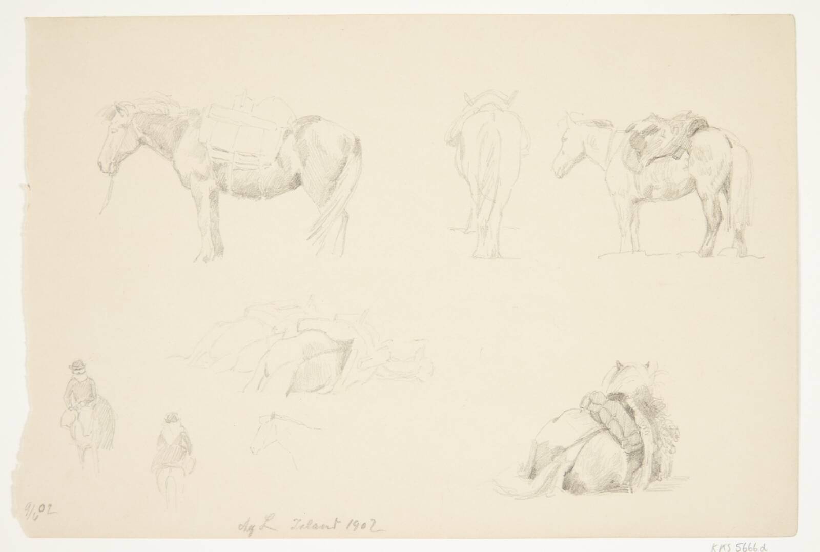 Studieblad med heste., Agnes Lunn, 1902