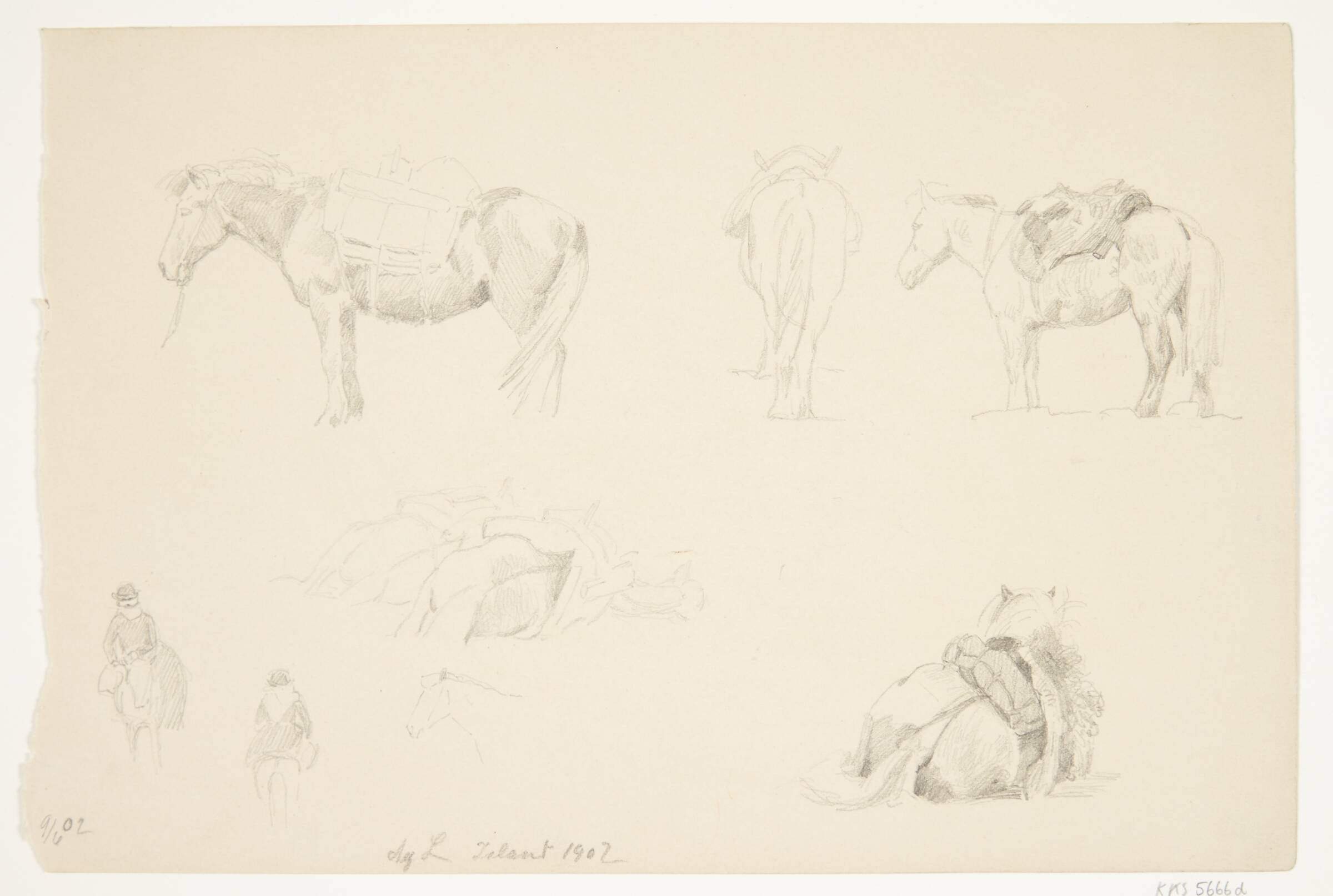 Studieblad med heste., Agnes Lunn, 1902