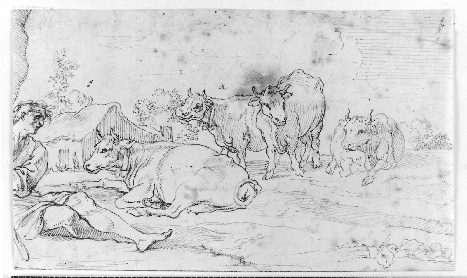 Apollon vogter sit kvæg, Giuseppe Agellio, 1570-1650