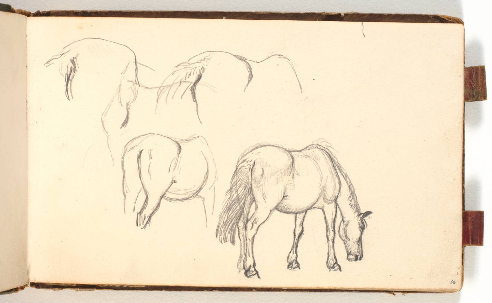 Studier af en drikkende hest, P.C. Skovgaard, 1848