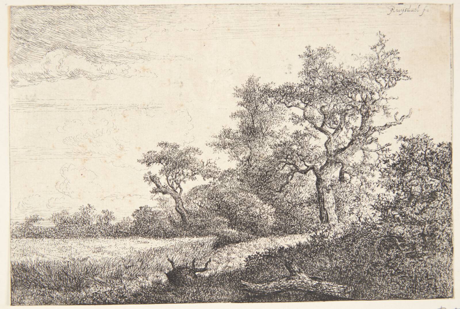 En kornmark, Jacob Isaacksz. van Ruisdael, 1648