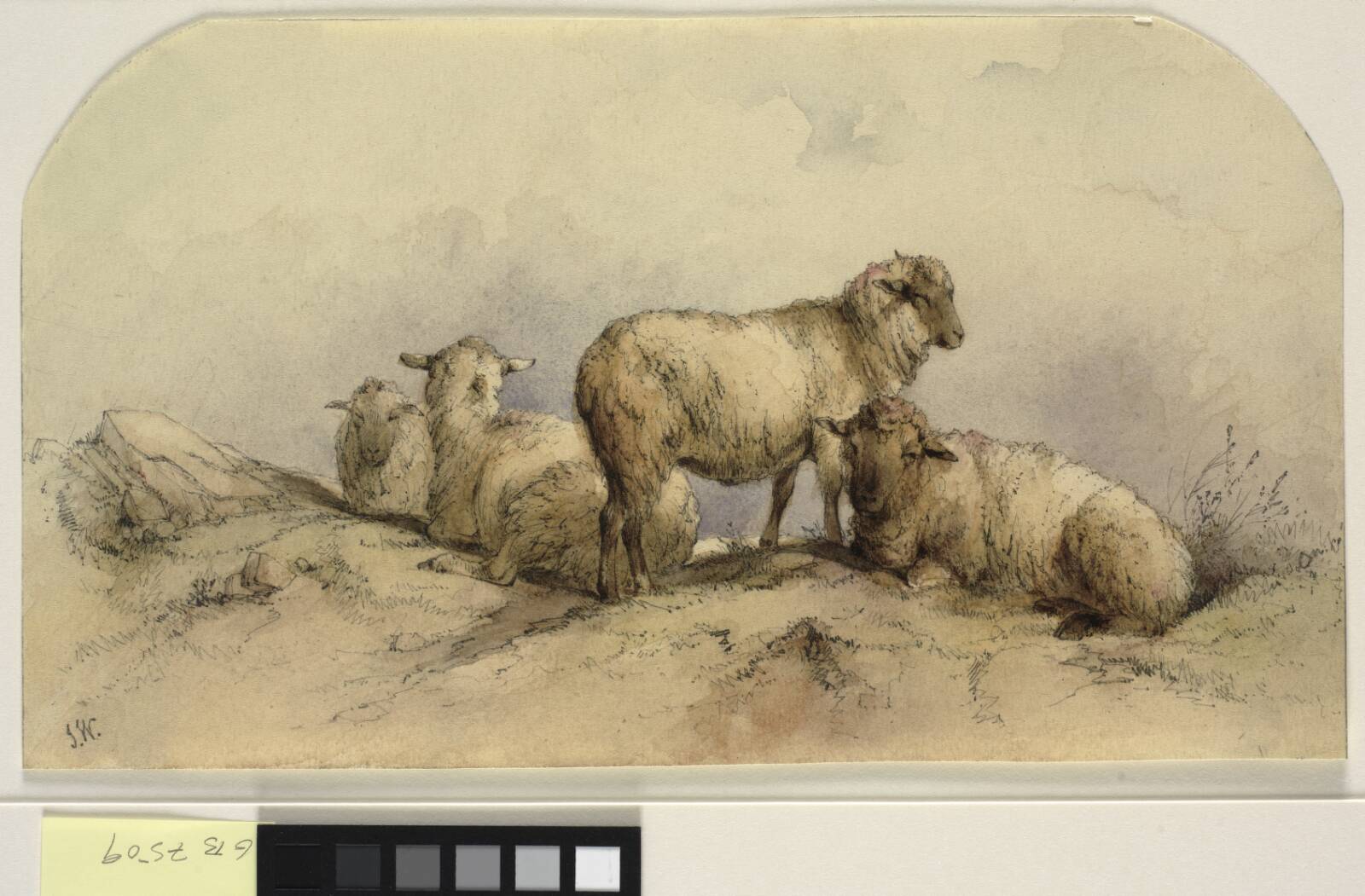 Får i et landskab, Ubekendt, 1800-1899