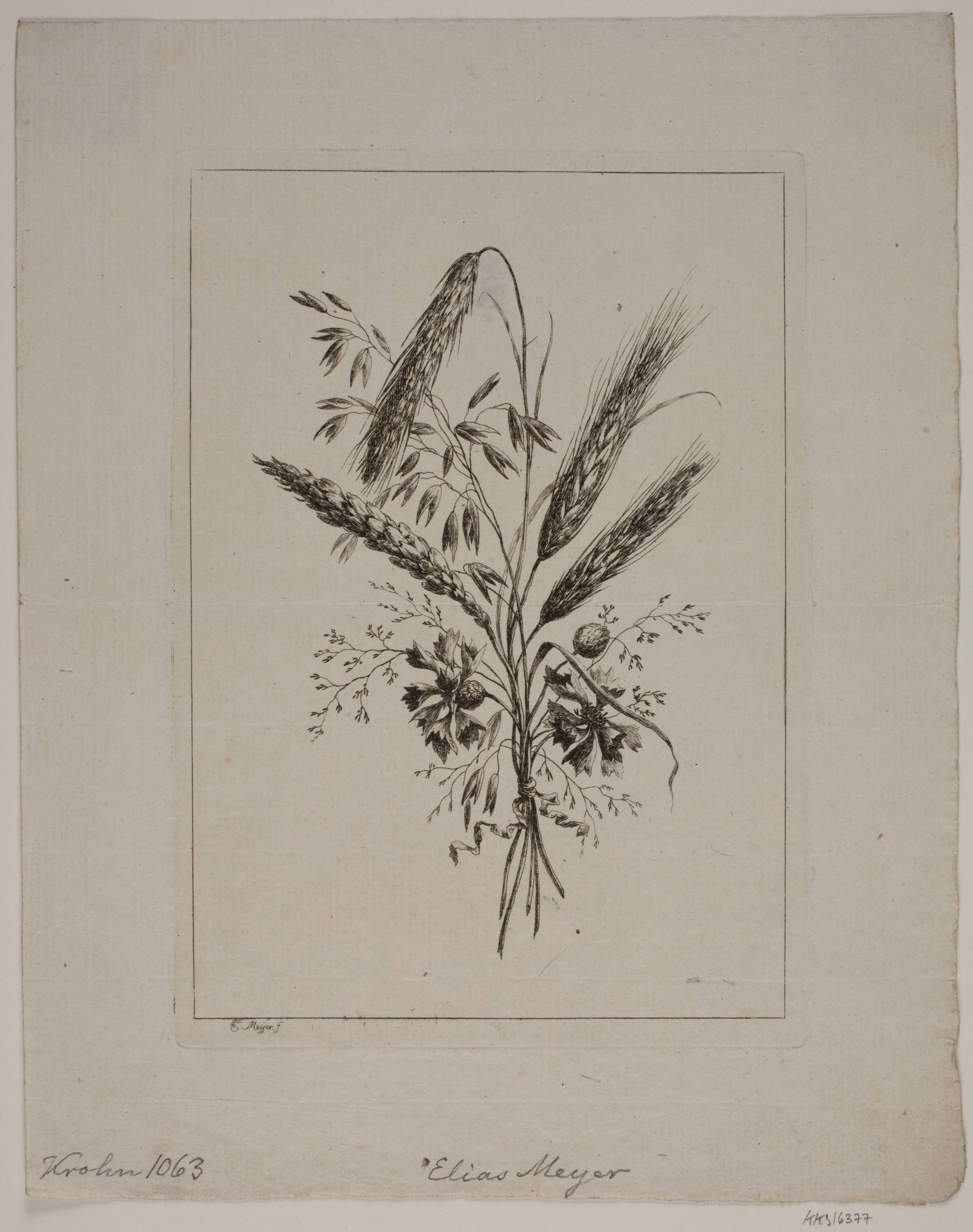 Buket af Aks og Kornblomster, Elias Meyer, 1763-1809