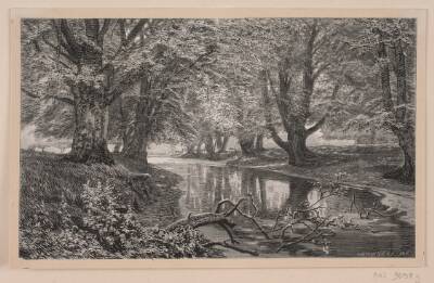 Et stille vand i Dyrehaven