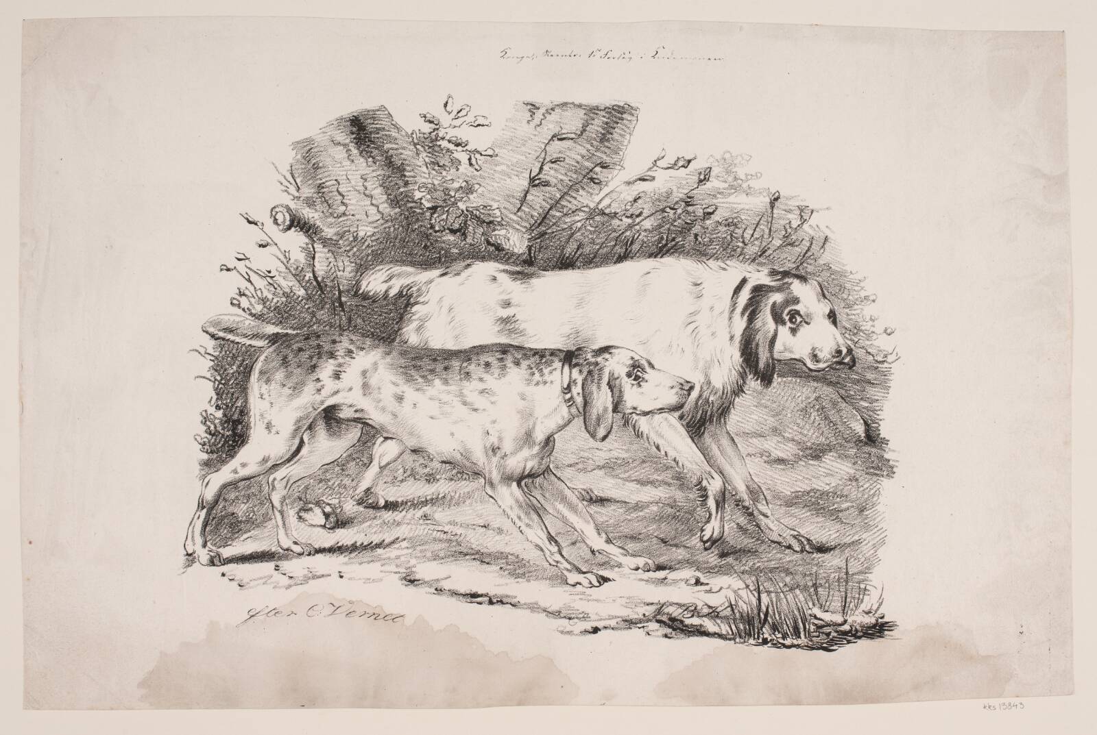 To jagthunde, N.B. Krossing, 1800-1899