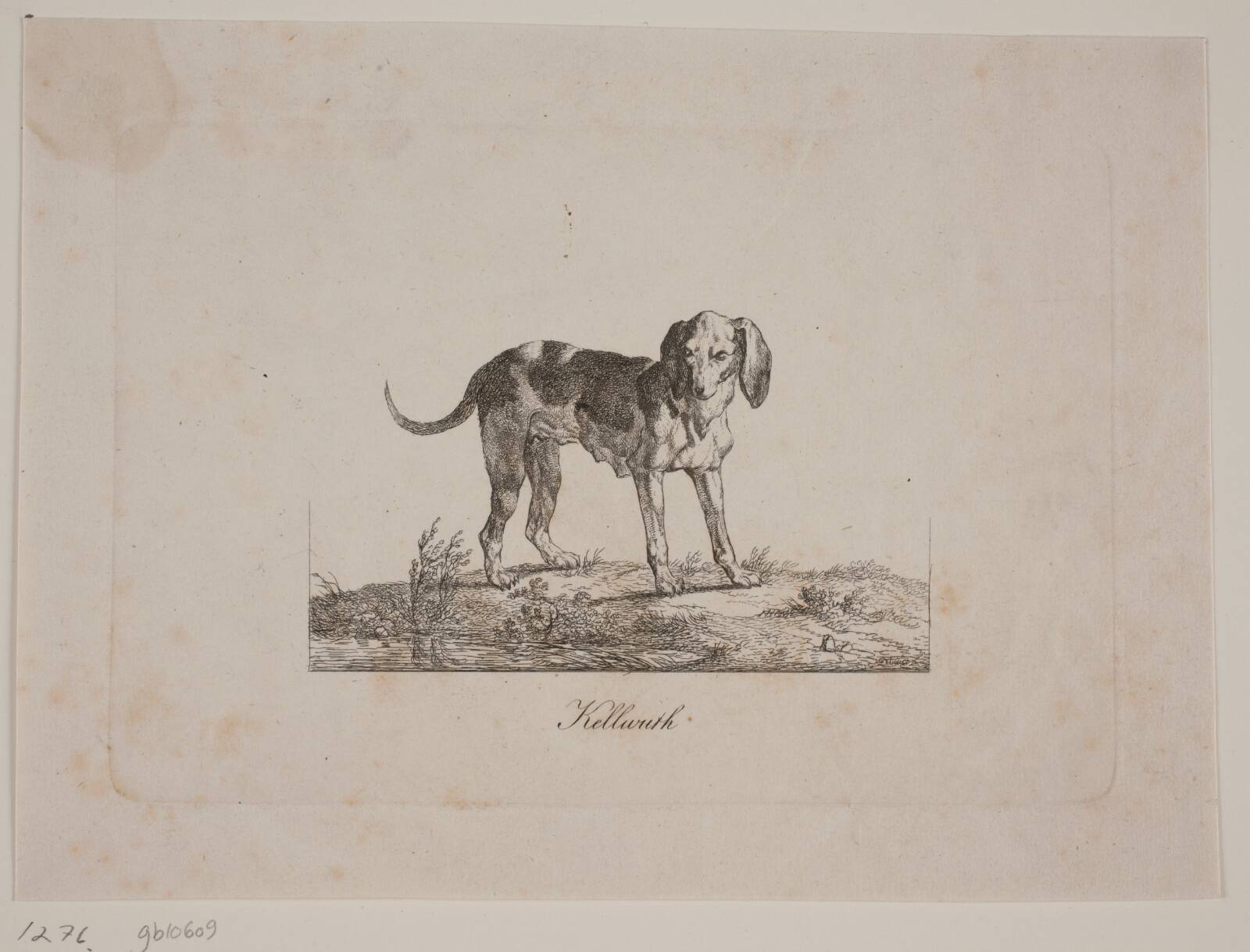 Kellwuth, Christian David Gebauer, 1821