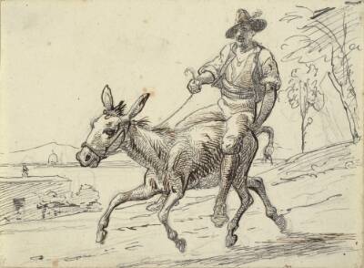 Ung fyr rider på et æsel
