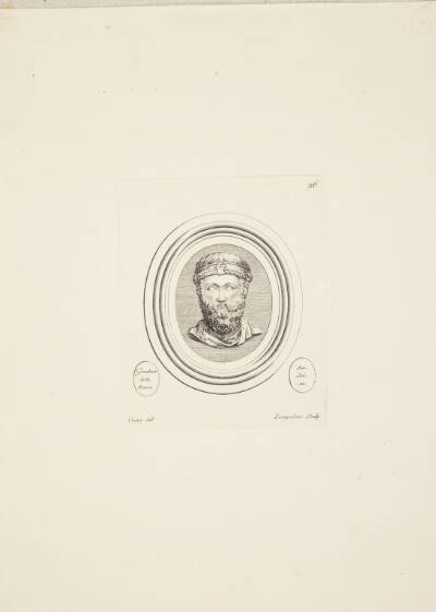 Skægget mandshoved (Platon)