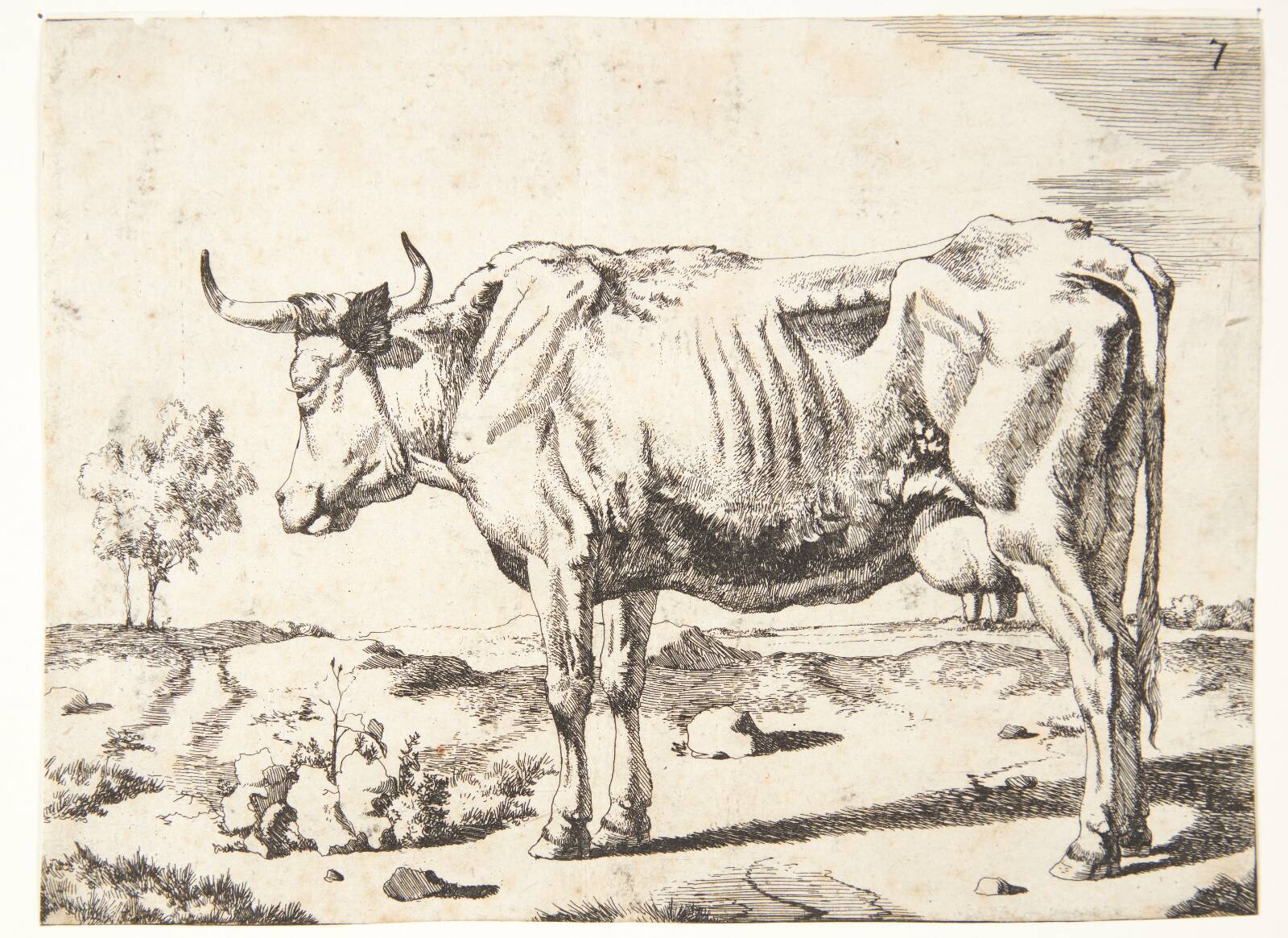 Stående ko, Marcus de Bye, 1638-1690
