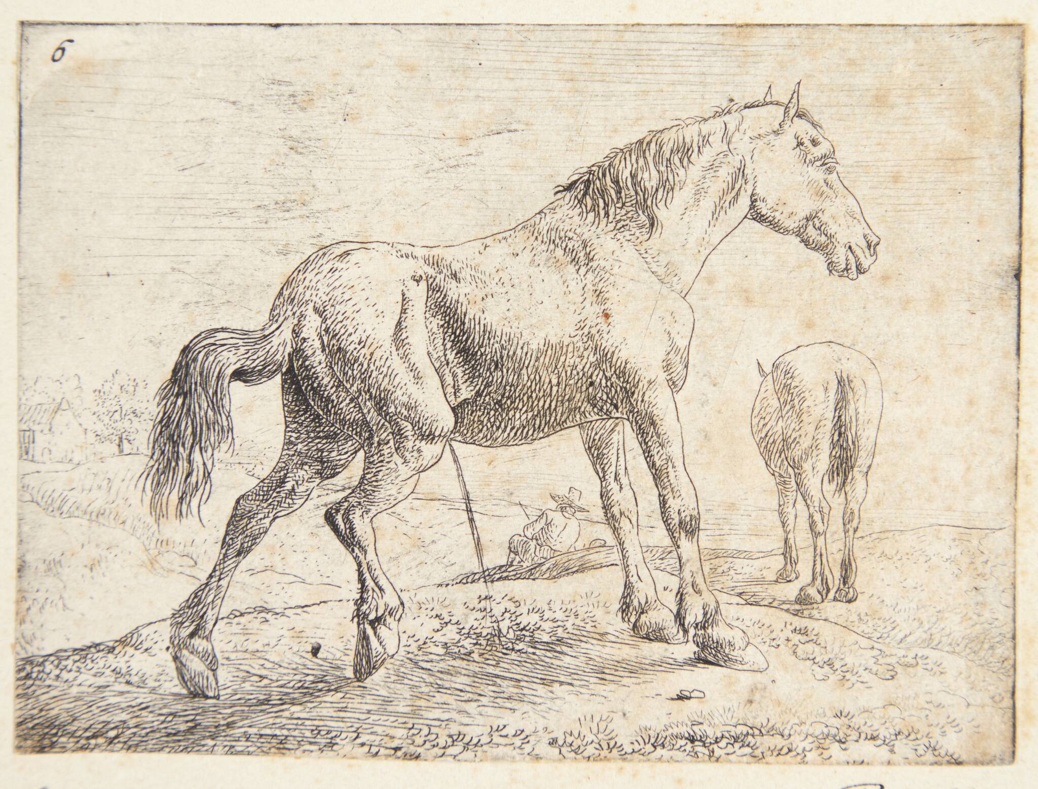 Pissende hest, i baggrunden en hest set bagfra og en hvilende mand