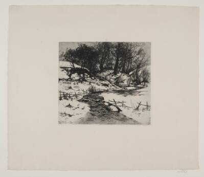 Vinter vandløb ved en skov
