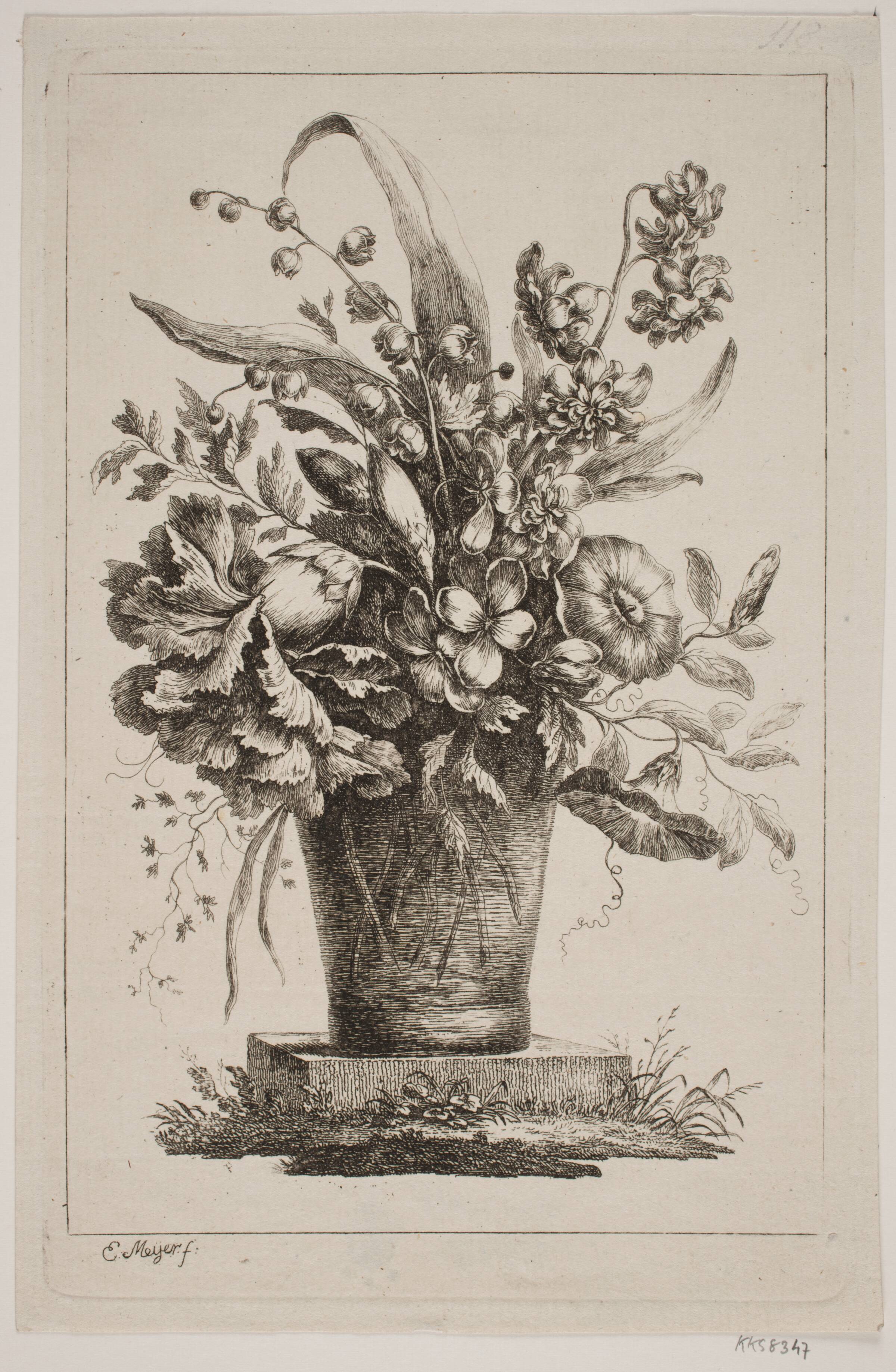 Et Glas med Blomster, Convolvolus, Nelliker m. v., Elias Meyer, 1763-1809