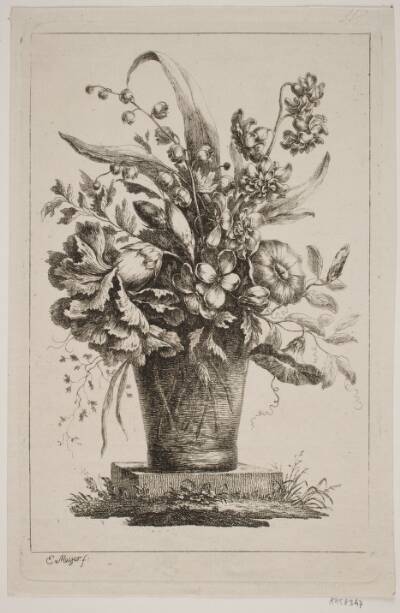 Et Glas med Blomster, Convolvolus, Nelliker m. v.