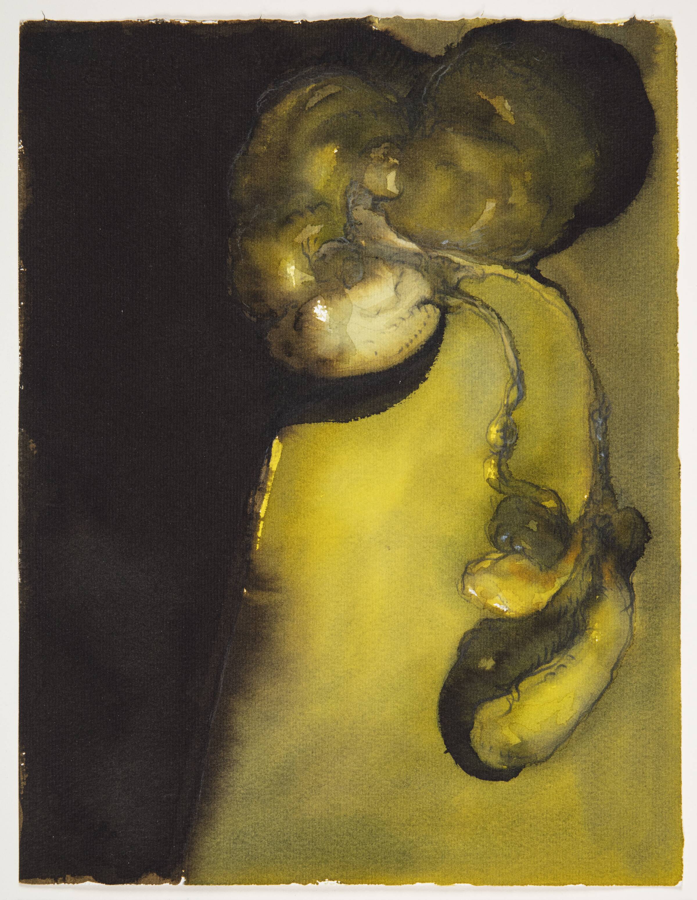 Papirvirus, Michael Kvium, 1988