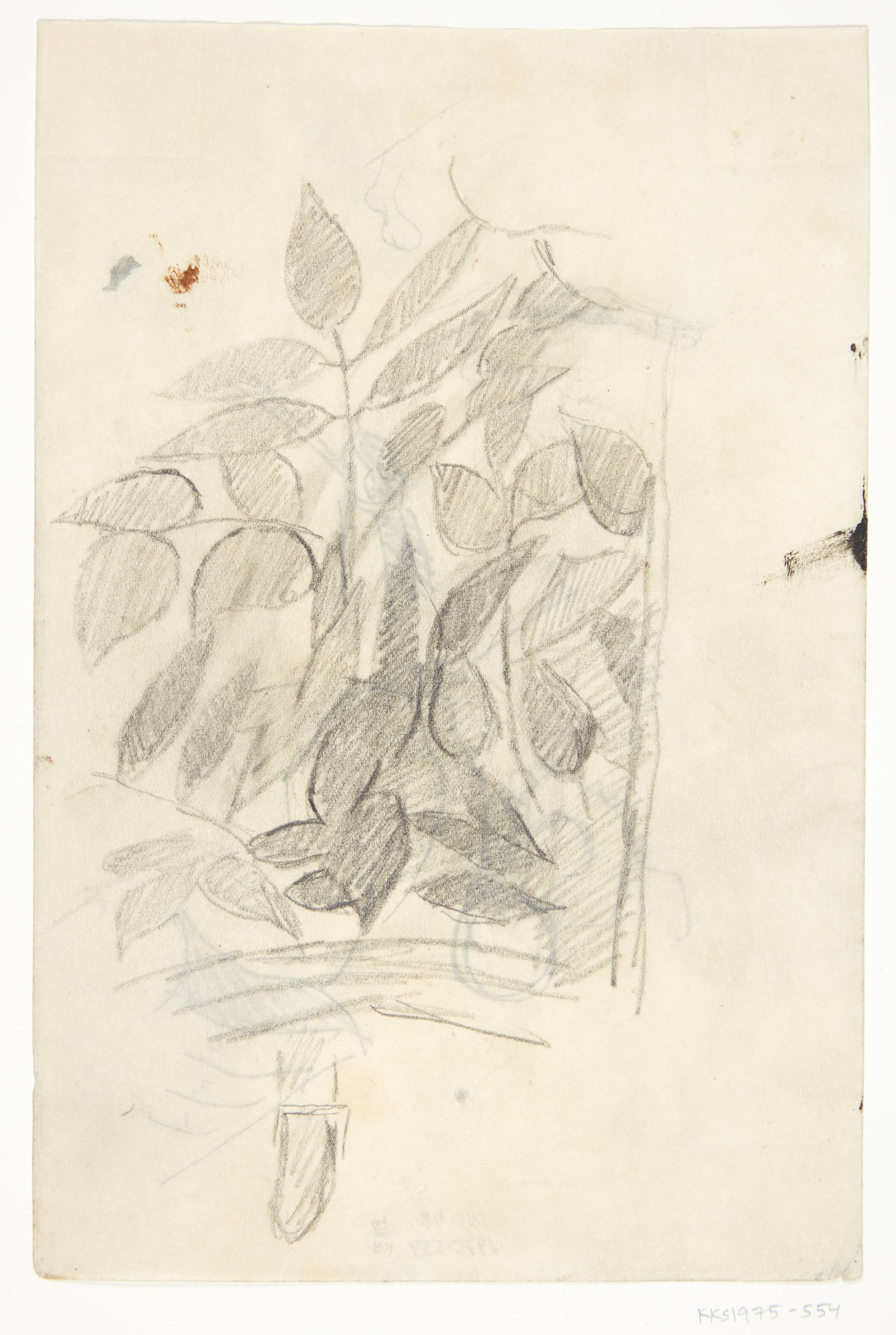 Bladhang. Kompositionsskitse til P. Uccellos "La Battaglia", William Scharff, 1901-1959
