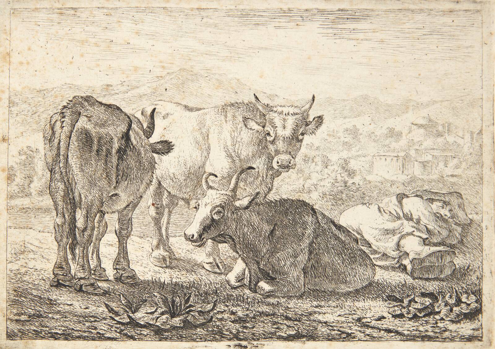 Tre stude og en sovende mand, Pieter van Laer, 1638