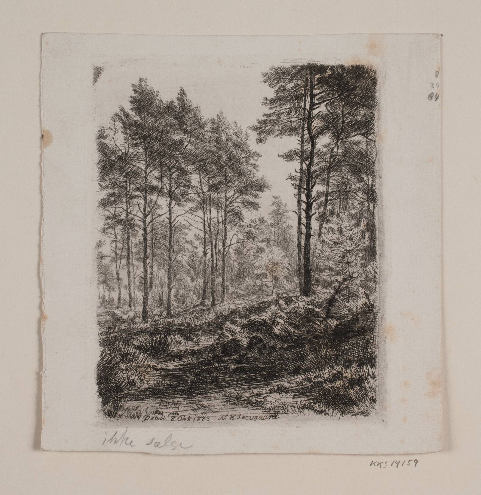 Fyrreskoven, Niels Skovgaard, 1883