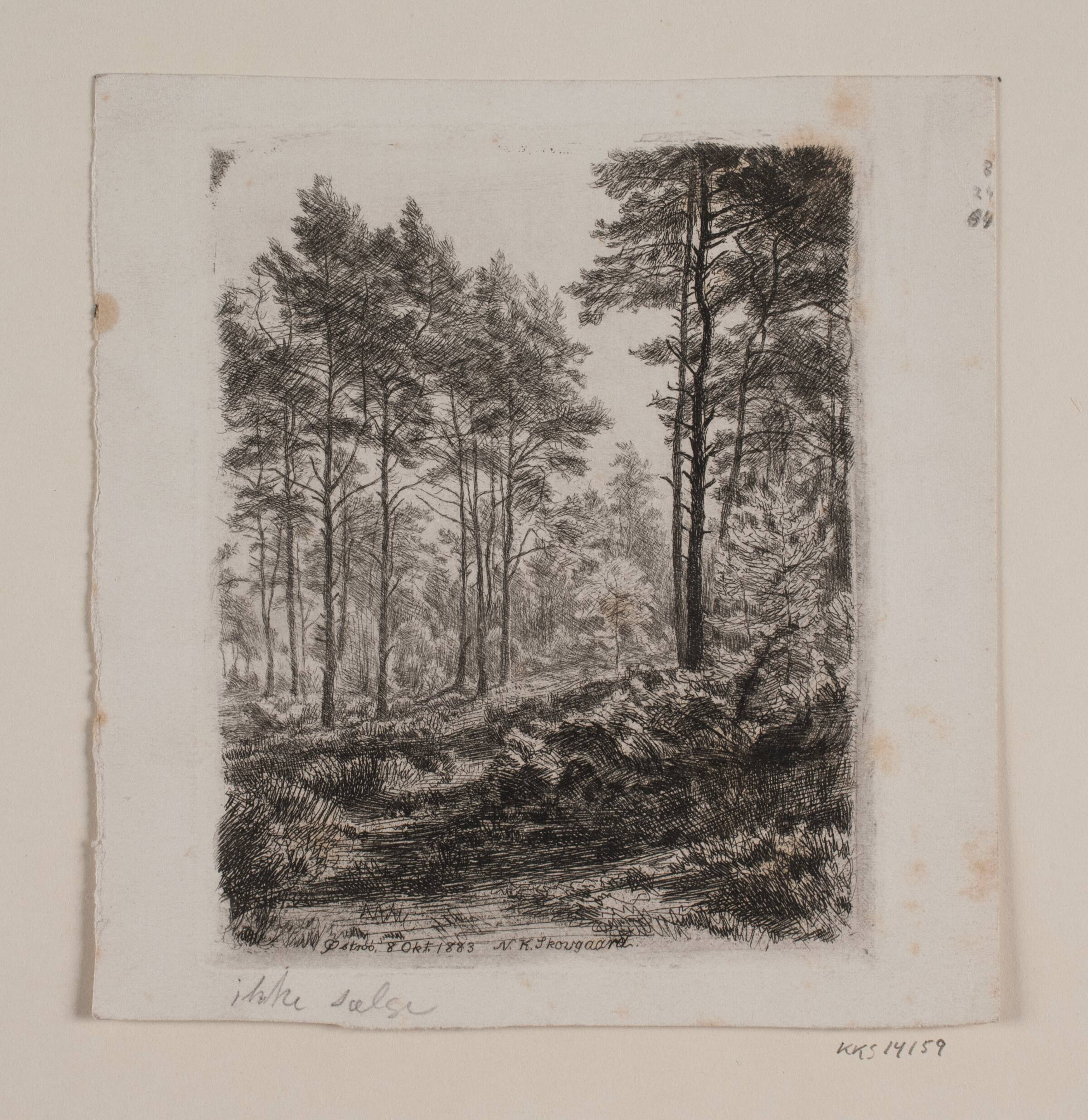 Fyrreskoven, Niels Skovgaard, 1883