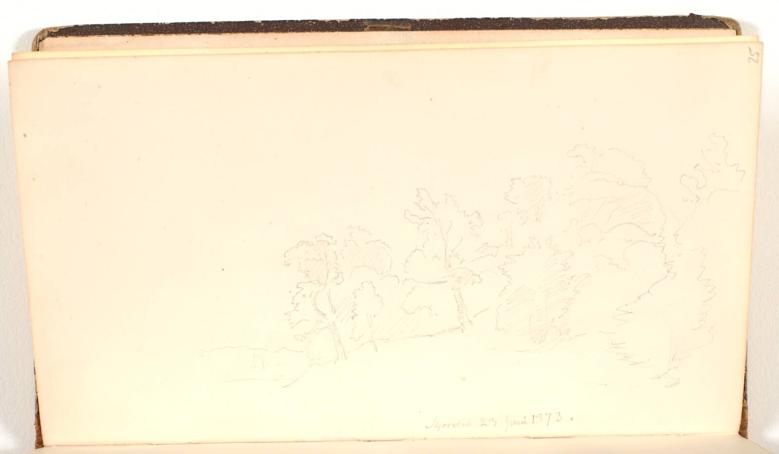 Buskads og træer, P.C. Skovgaard, 1873