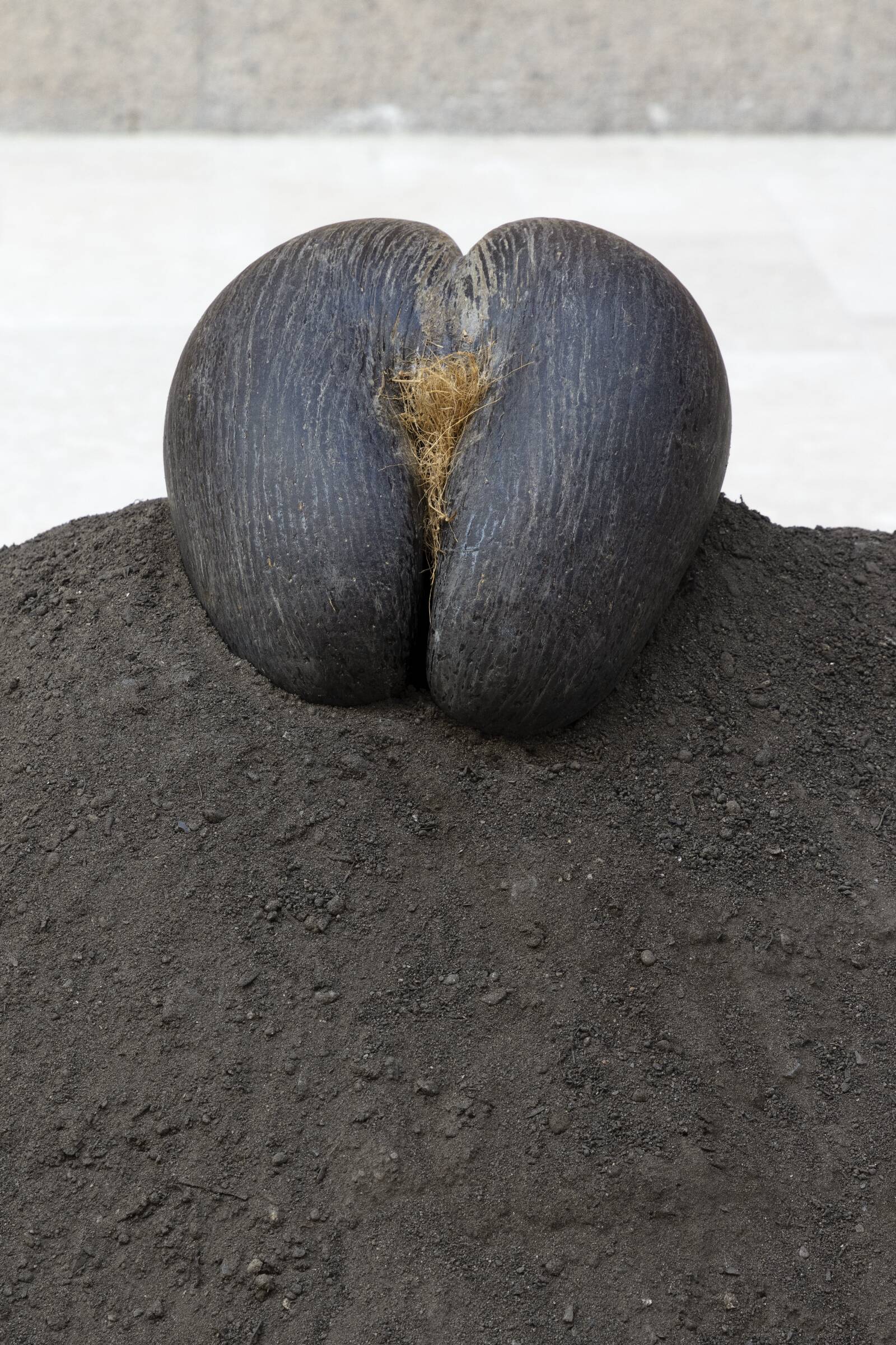 Female Nude, Nina Beier, 2015