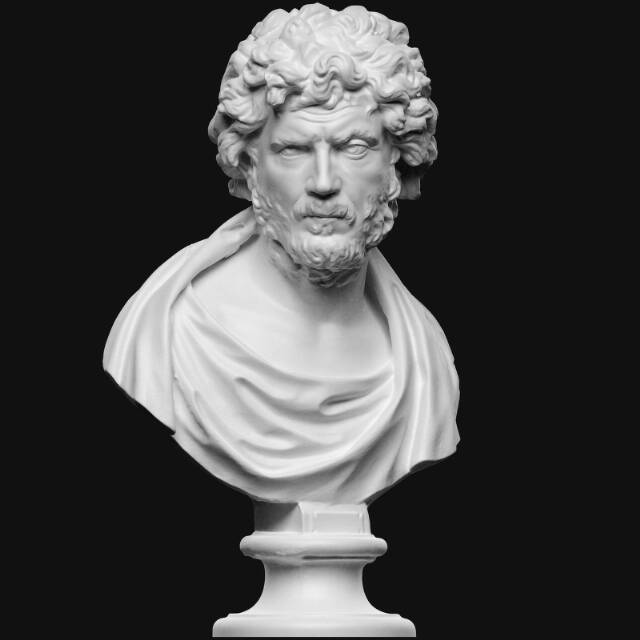 Man with beard and thick hair, philosopher or barbarian? 3D model