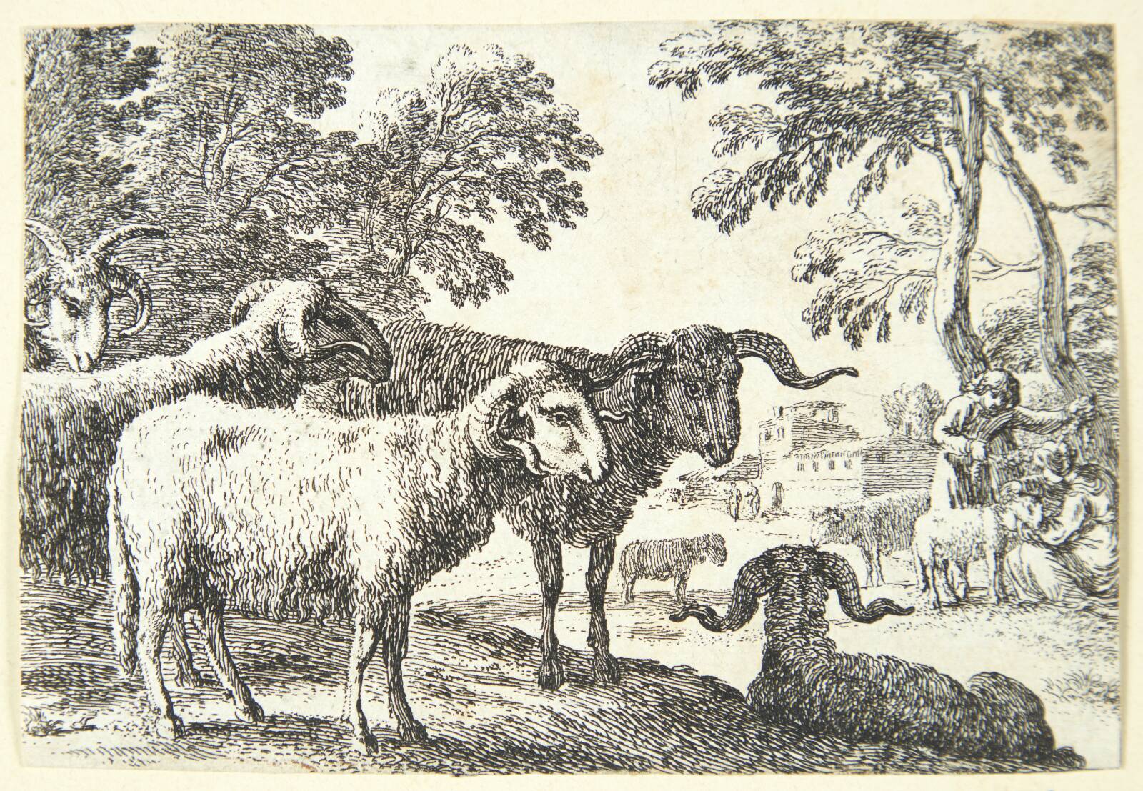Væddere, Herman van Swanevelt, 1603-1655