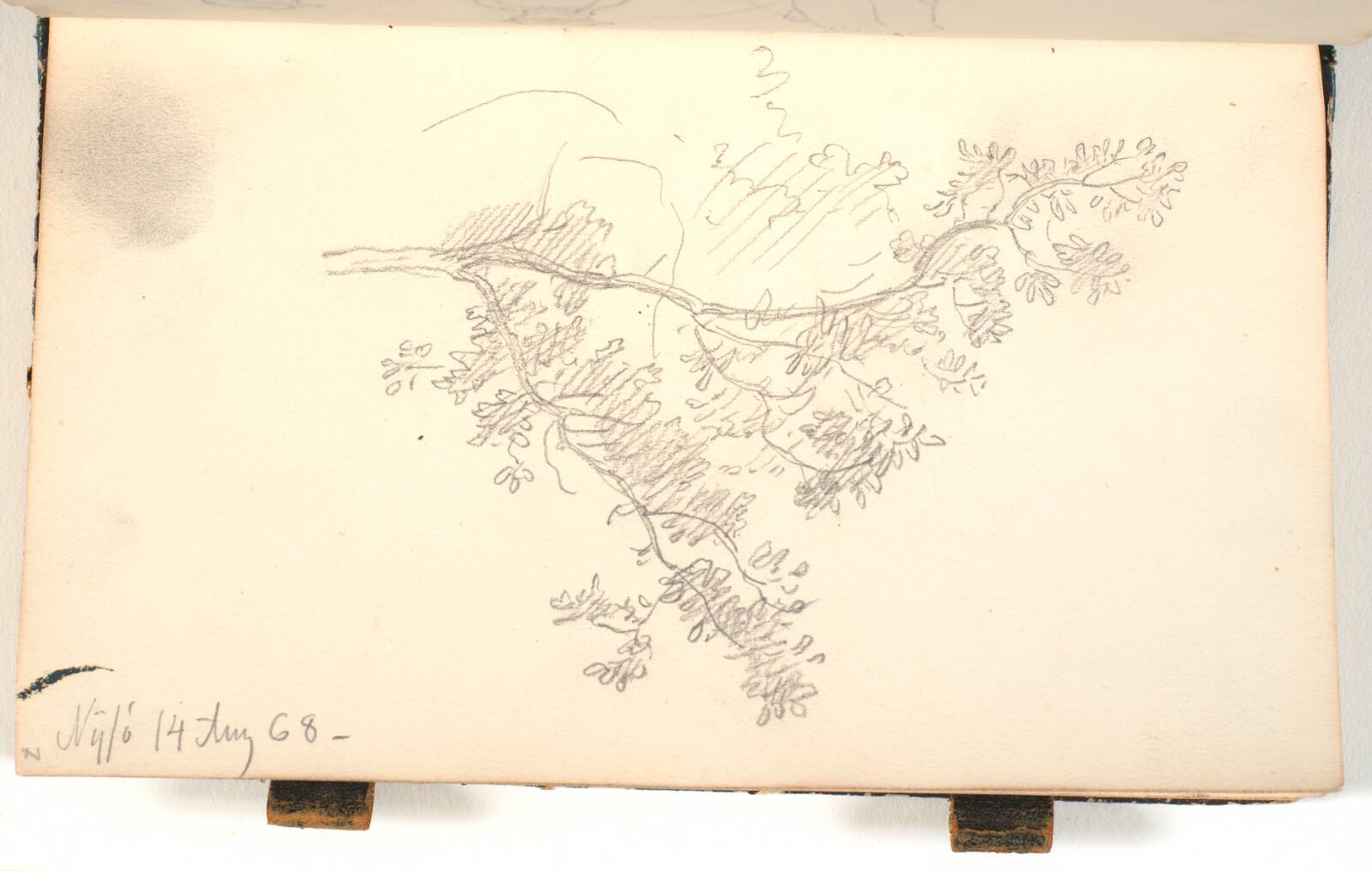 En gren med løv, P.C. Skovgaard, 1868