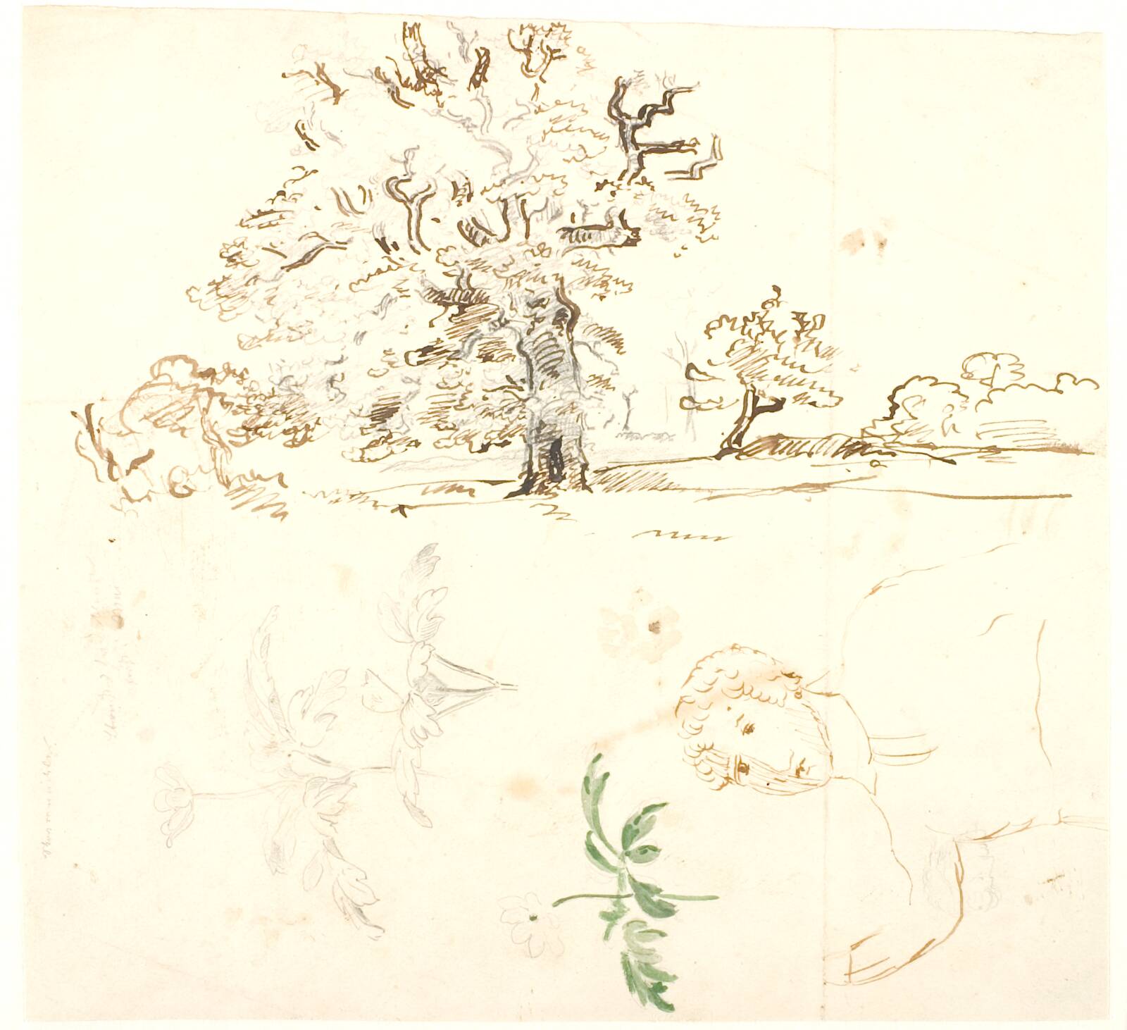 Studier af eg, ranunkelblade o.a., Dankvart Dreyer, 1840-1849