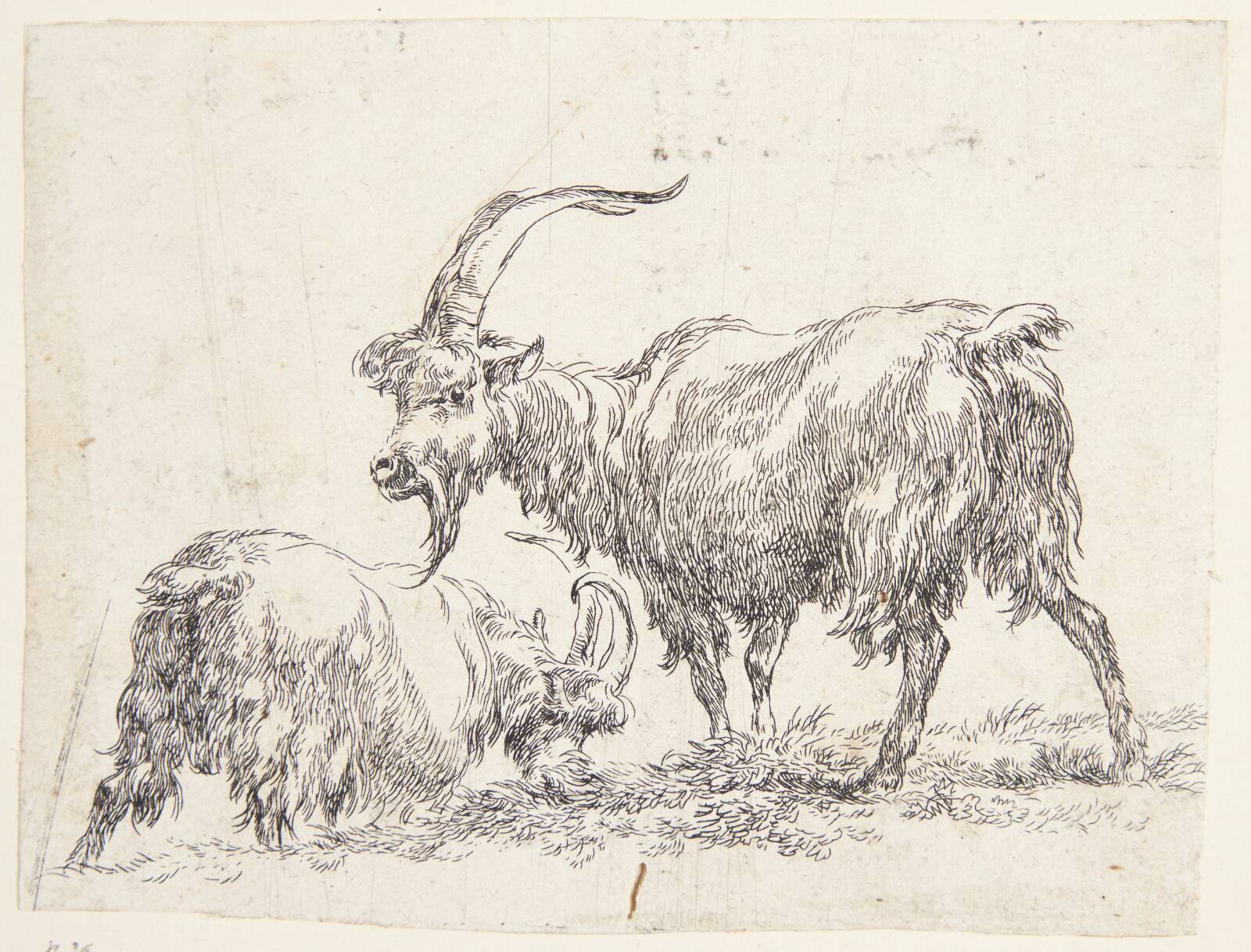 To geder, Nicolaes Berchem, 1620-1683