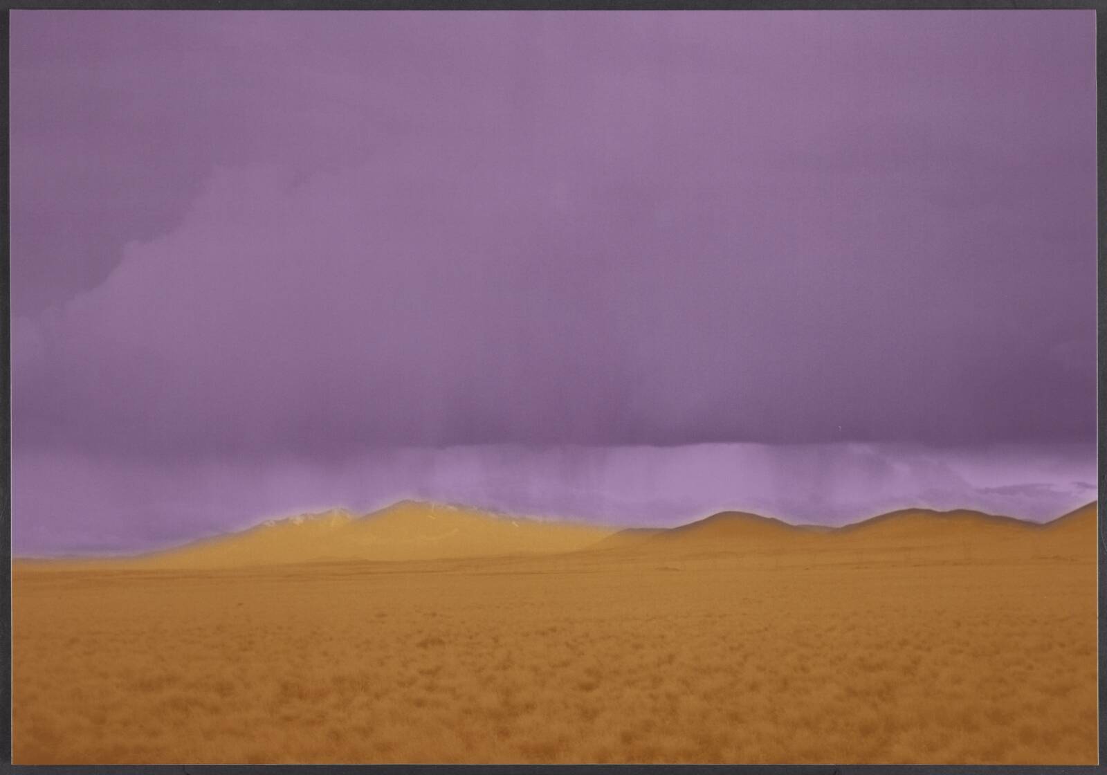 Arizona, Erik Steffensen, 2001