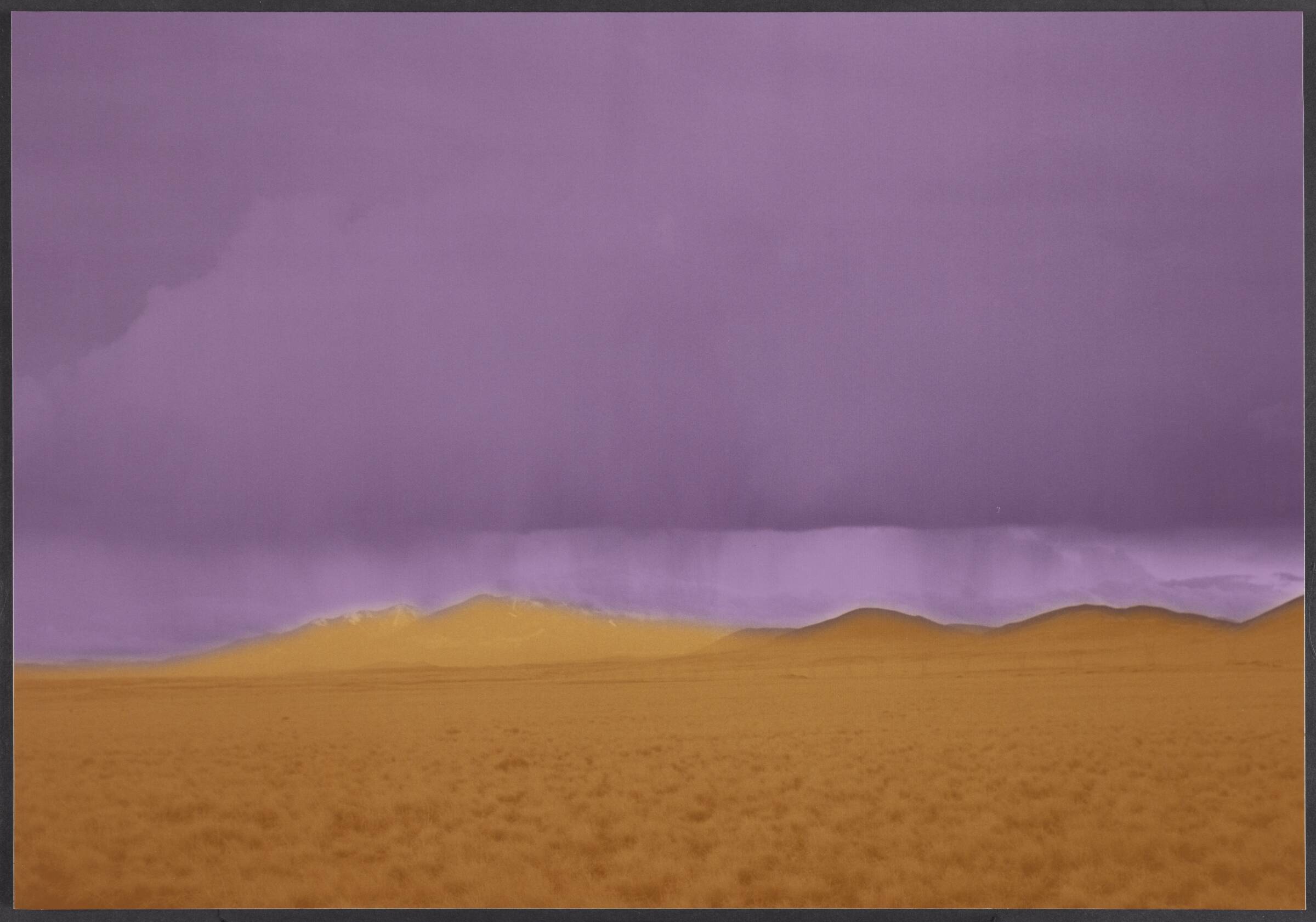 Arizona, Erik Steffensen, 2001