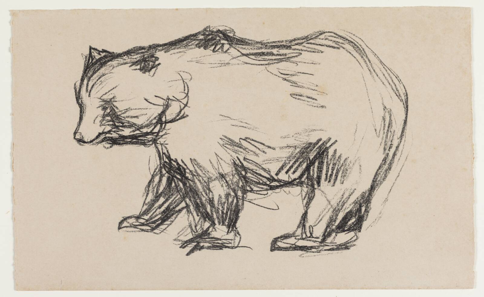 Bjørn, Edvard Munch, 1908-1909