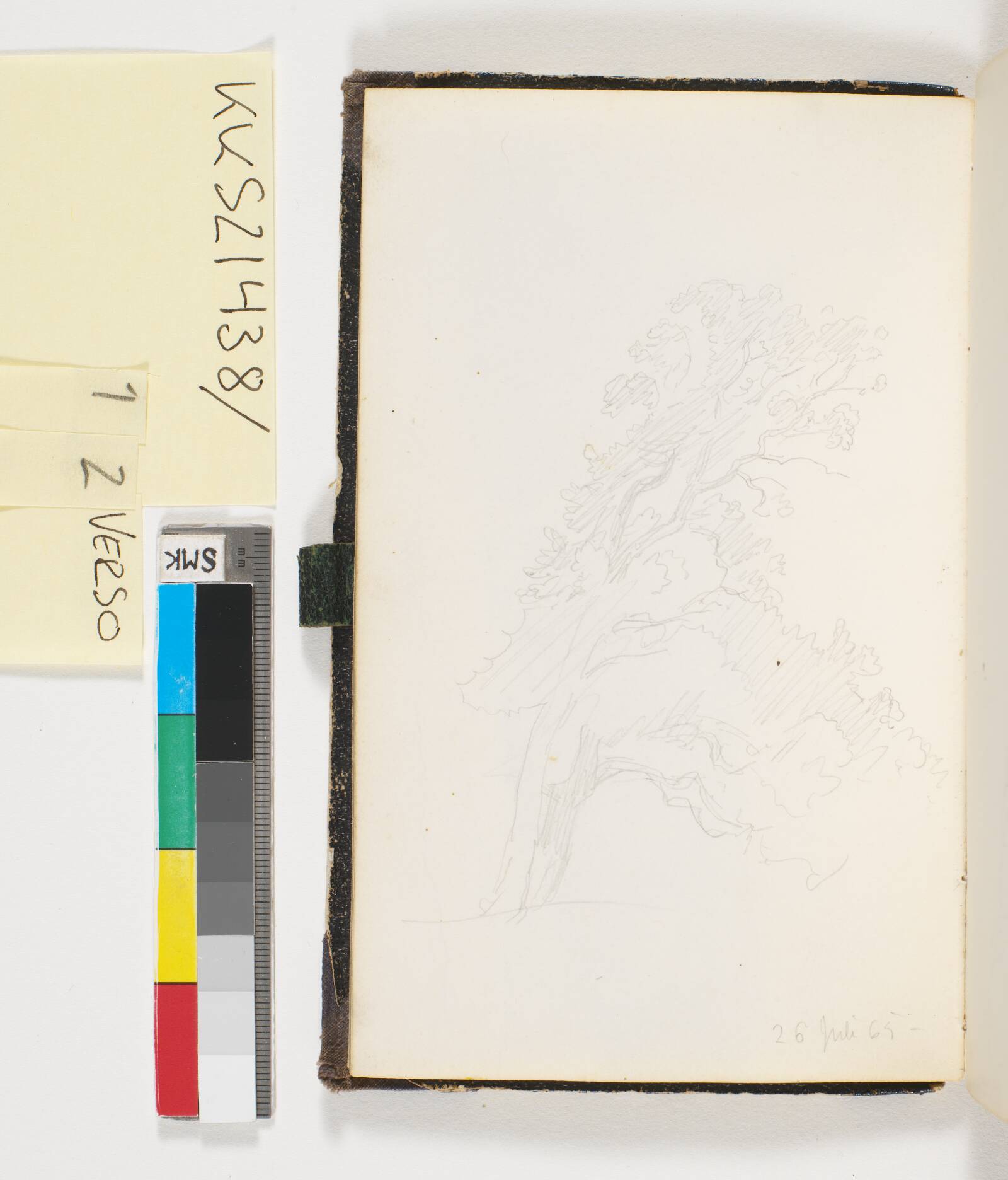 Et træ, P.C. Skovgaard, 1865