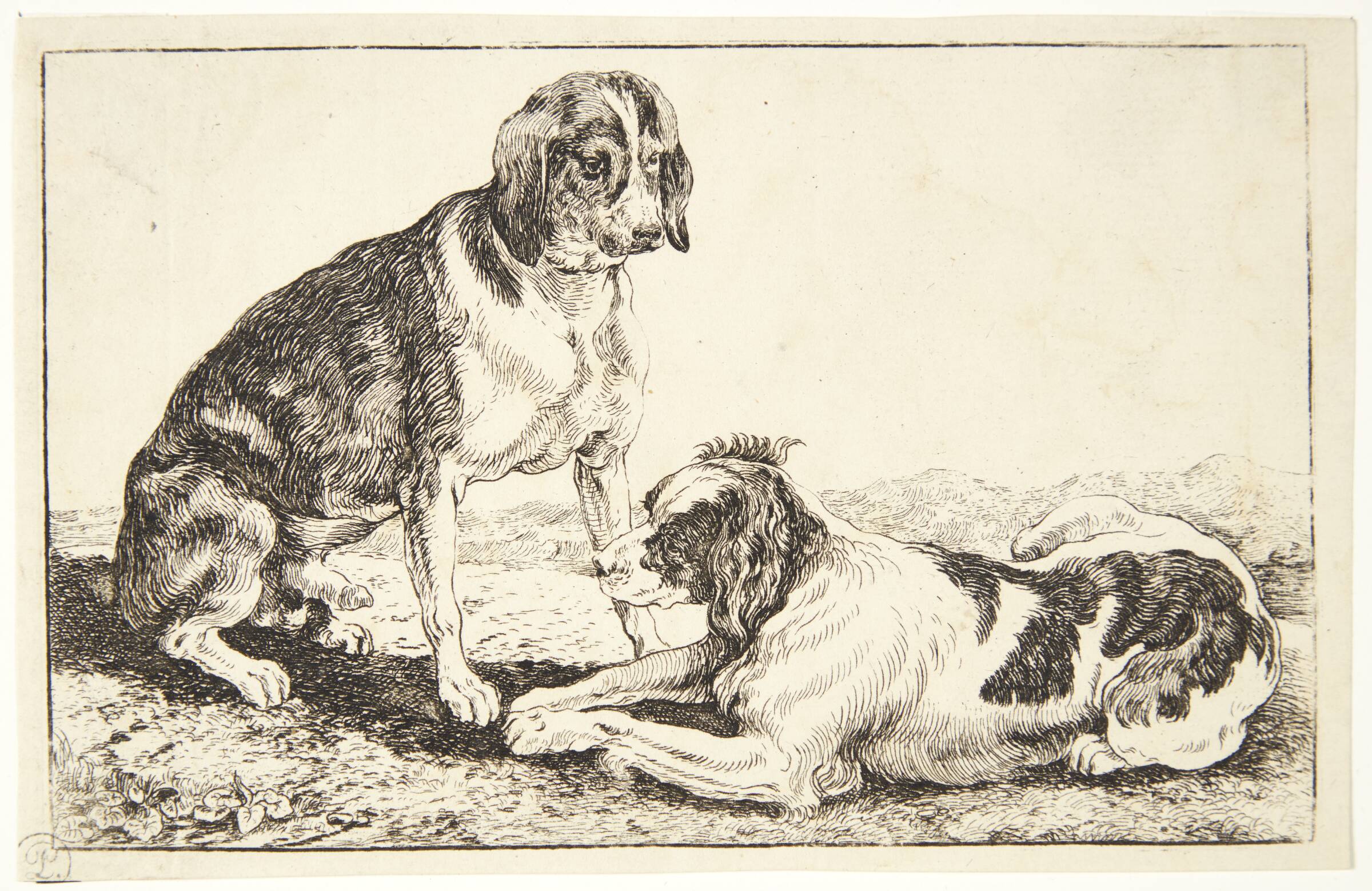 To liggende hunde, Jan van den Hecke I, 1619-1684