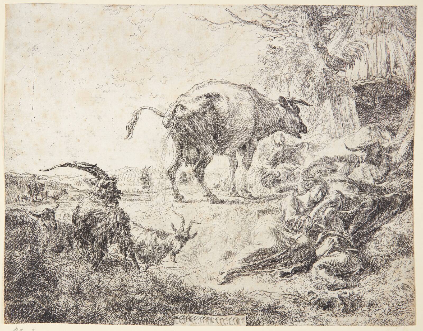 Pissende ko, Nicolaes Berchem, 1620-1683