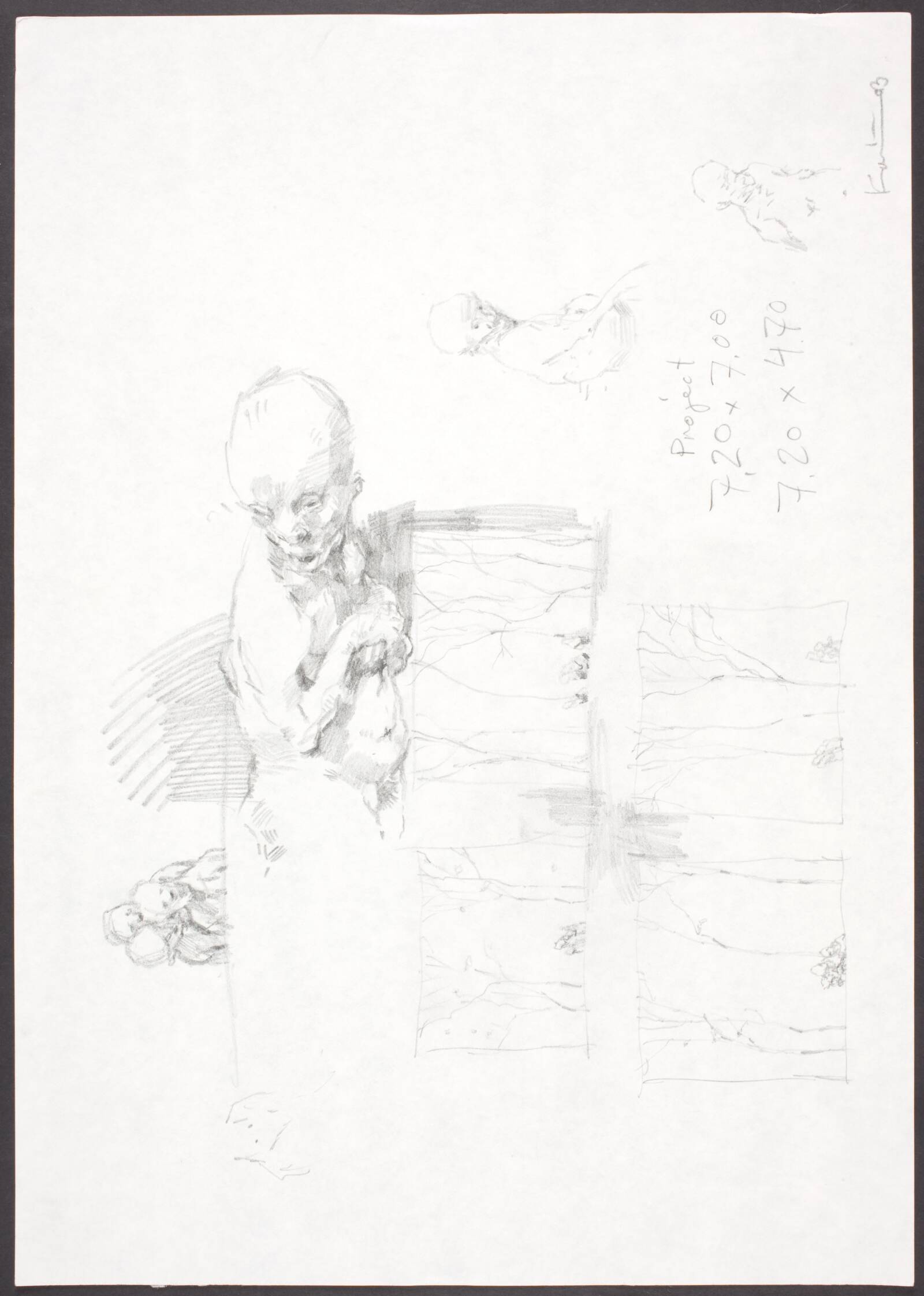 Project, Michael Kvium, 2003